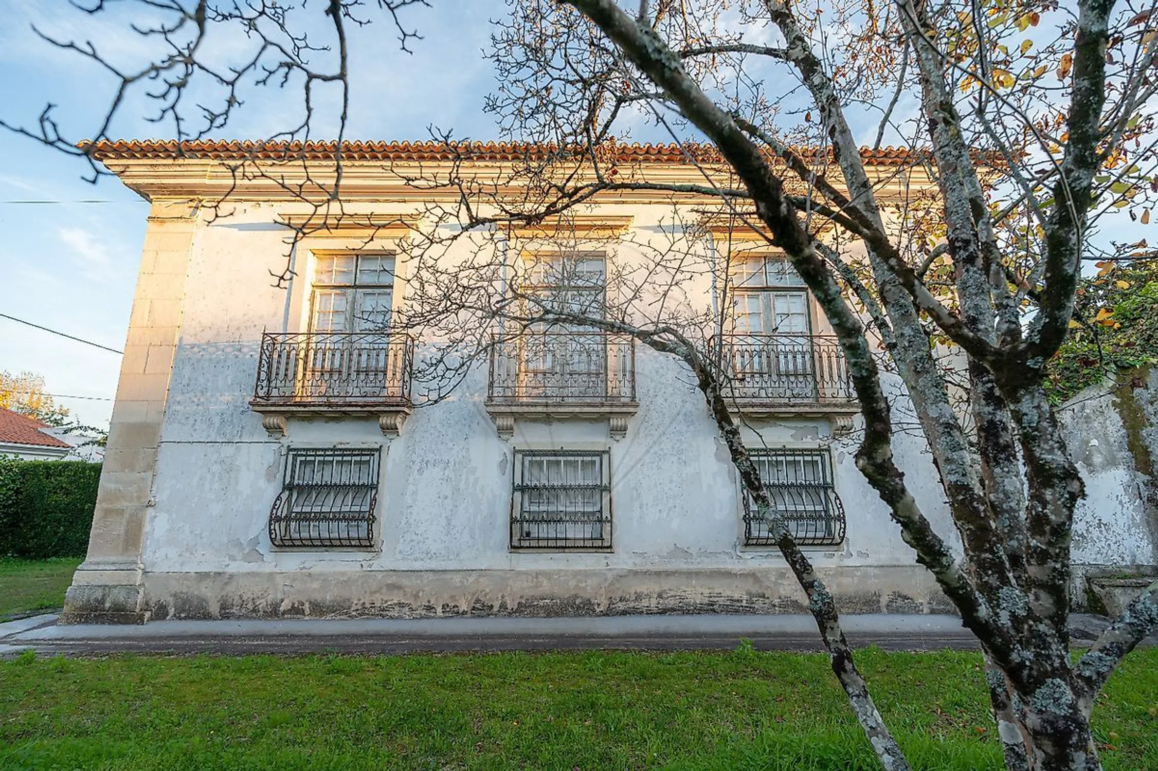 Quinta - Photo 18