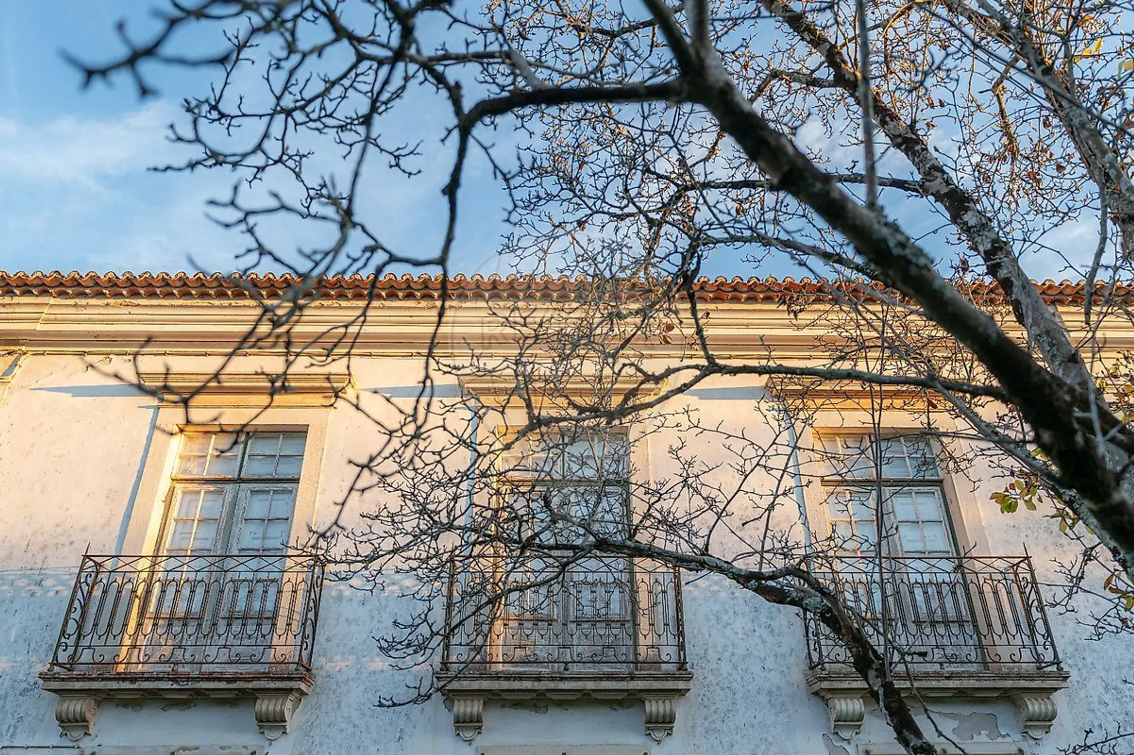 Quinta - Photo 20