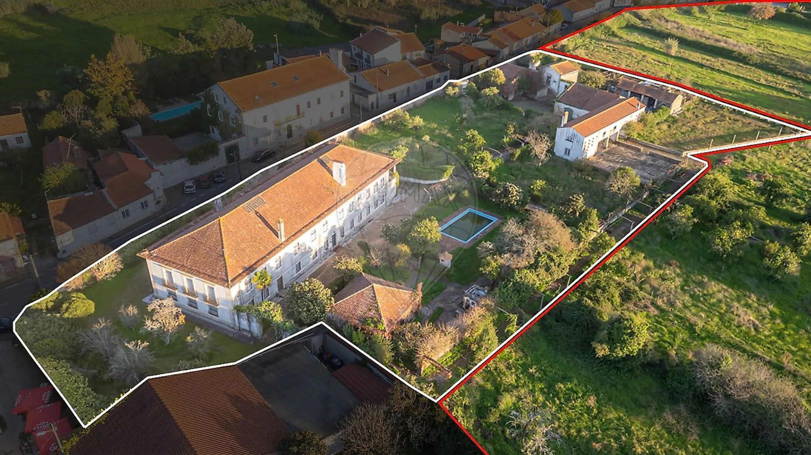 Quinta - Photo 7