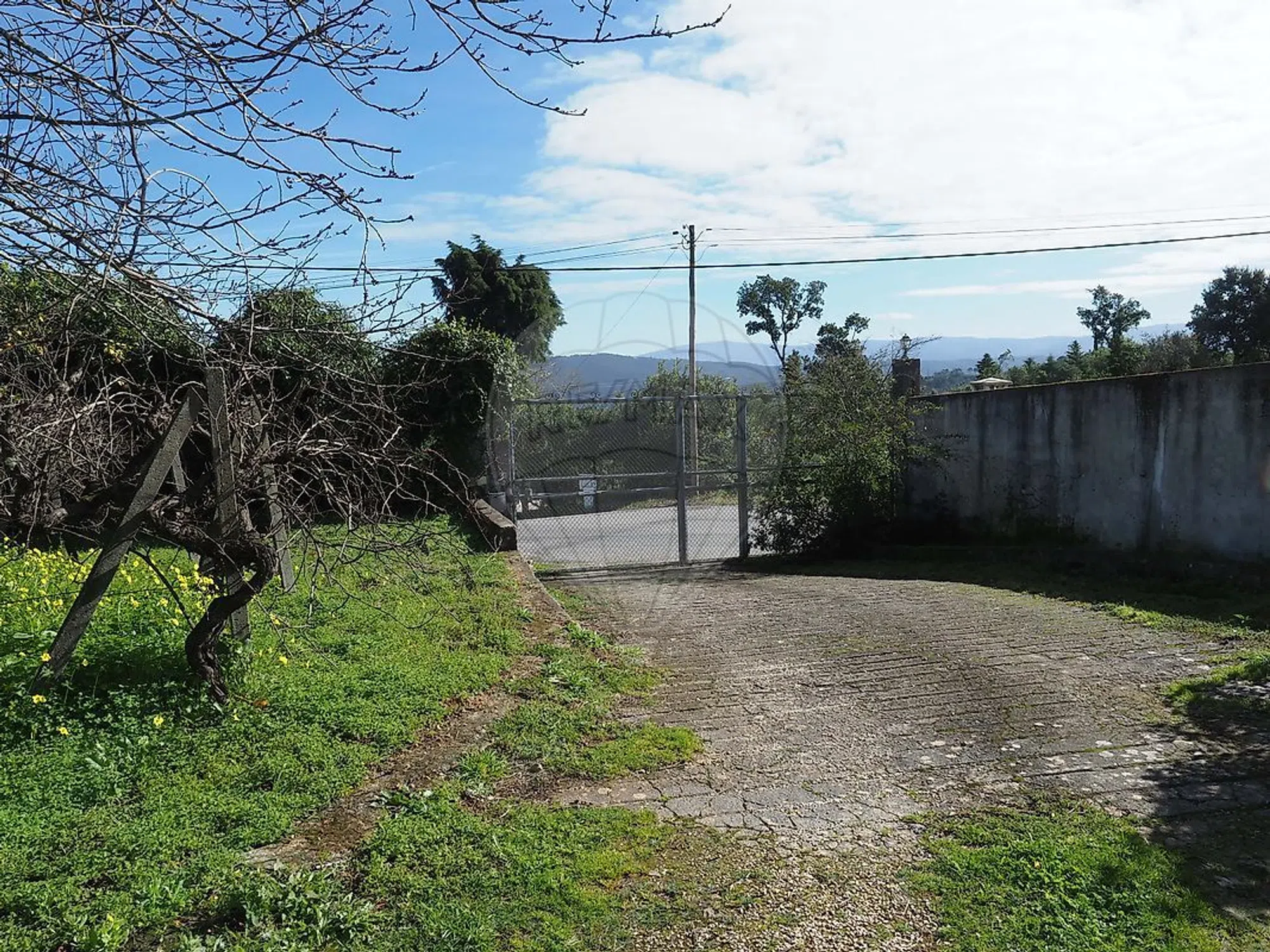 Quinta na rua Fontinha - Photo 2