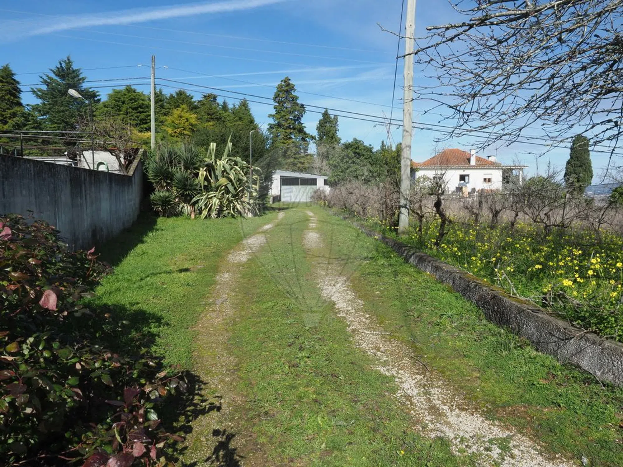 Quinta na rua Fontinha - Photo 4