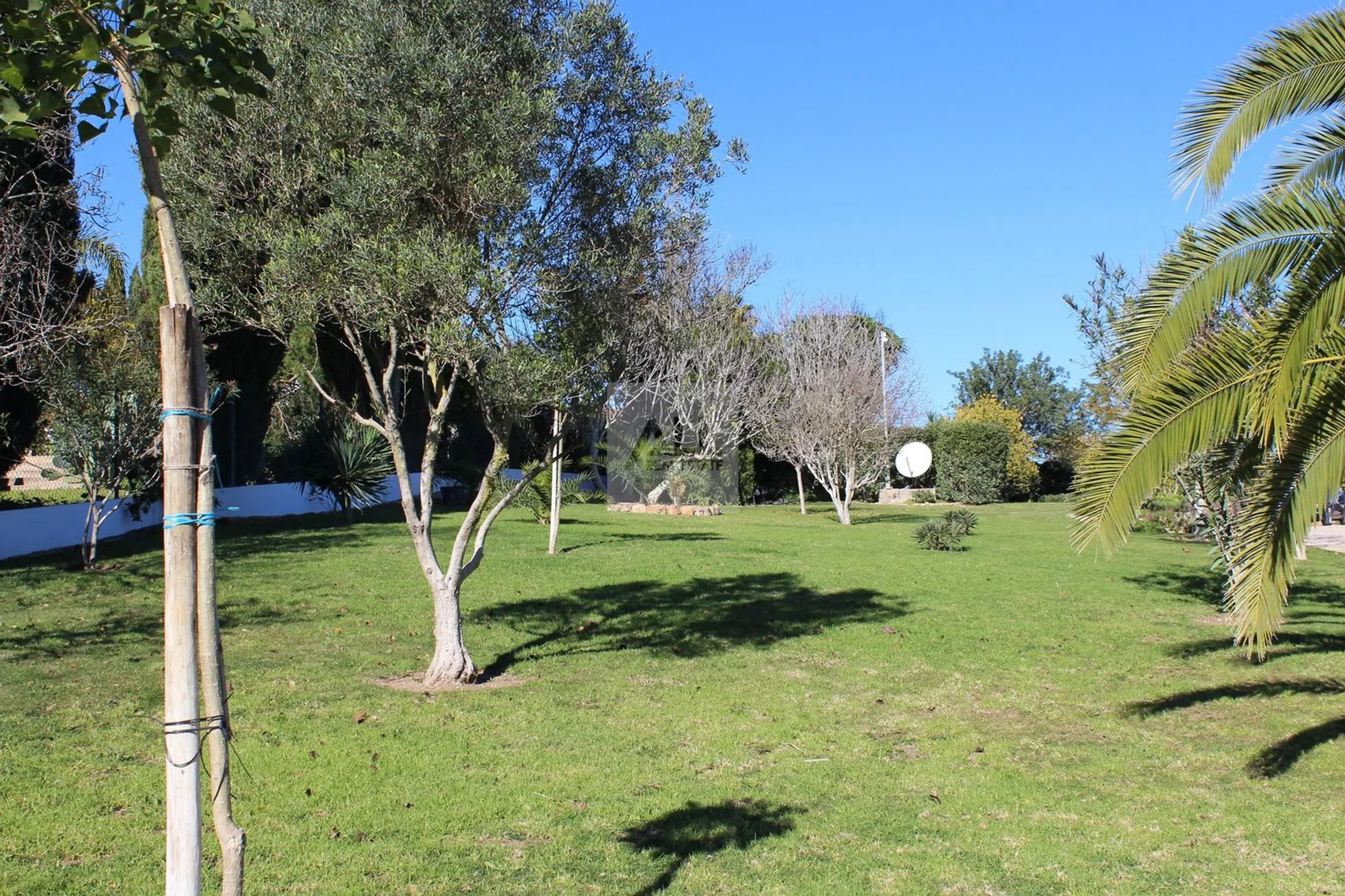Moradia - Photo 15