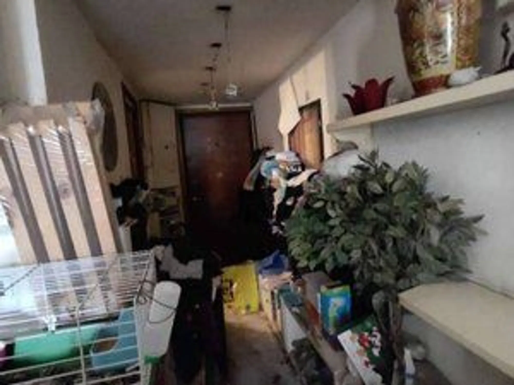 Quadrilocale in via Lomellina - Photo 14