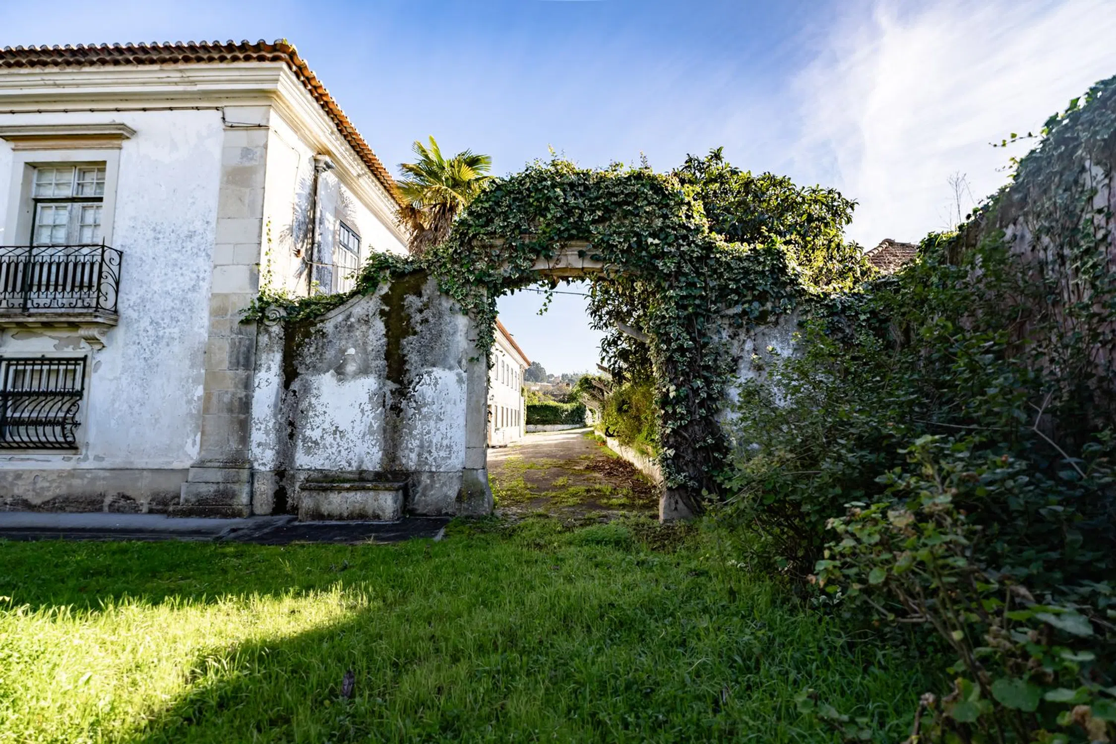 Quinta em quinta do Eirado - Photo 14