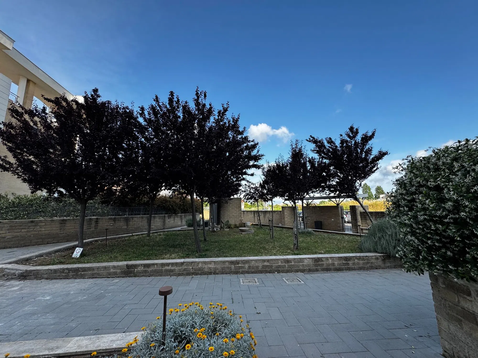 Appartamento su due piani in via Daniele Badiali s.n.c. - Photo 13