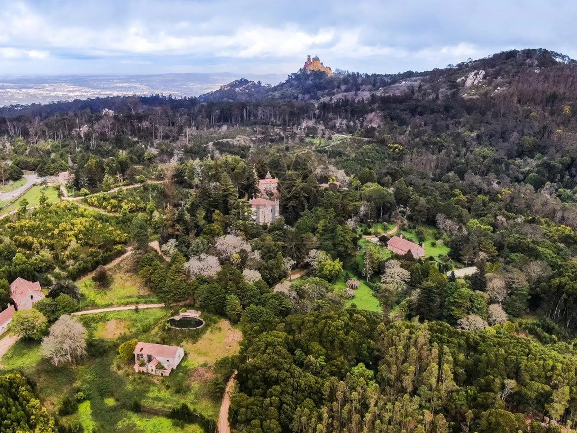 Quinta - Photo 3