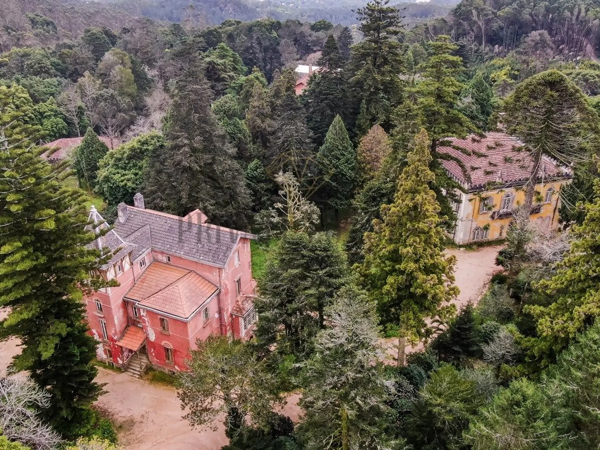 Quinta - Photo 4