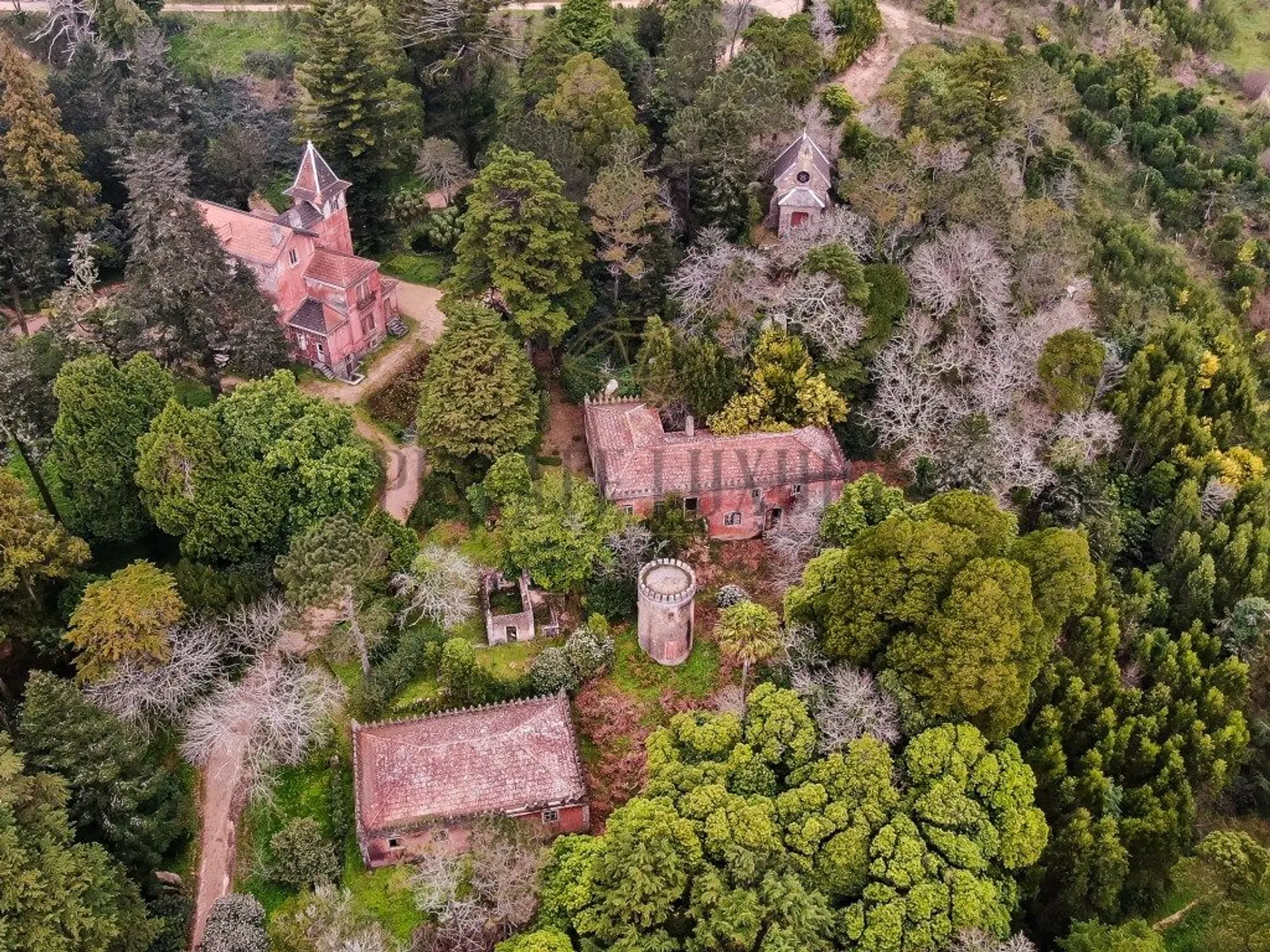Quinta - Photo 5