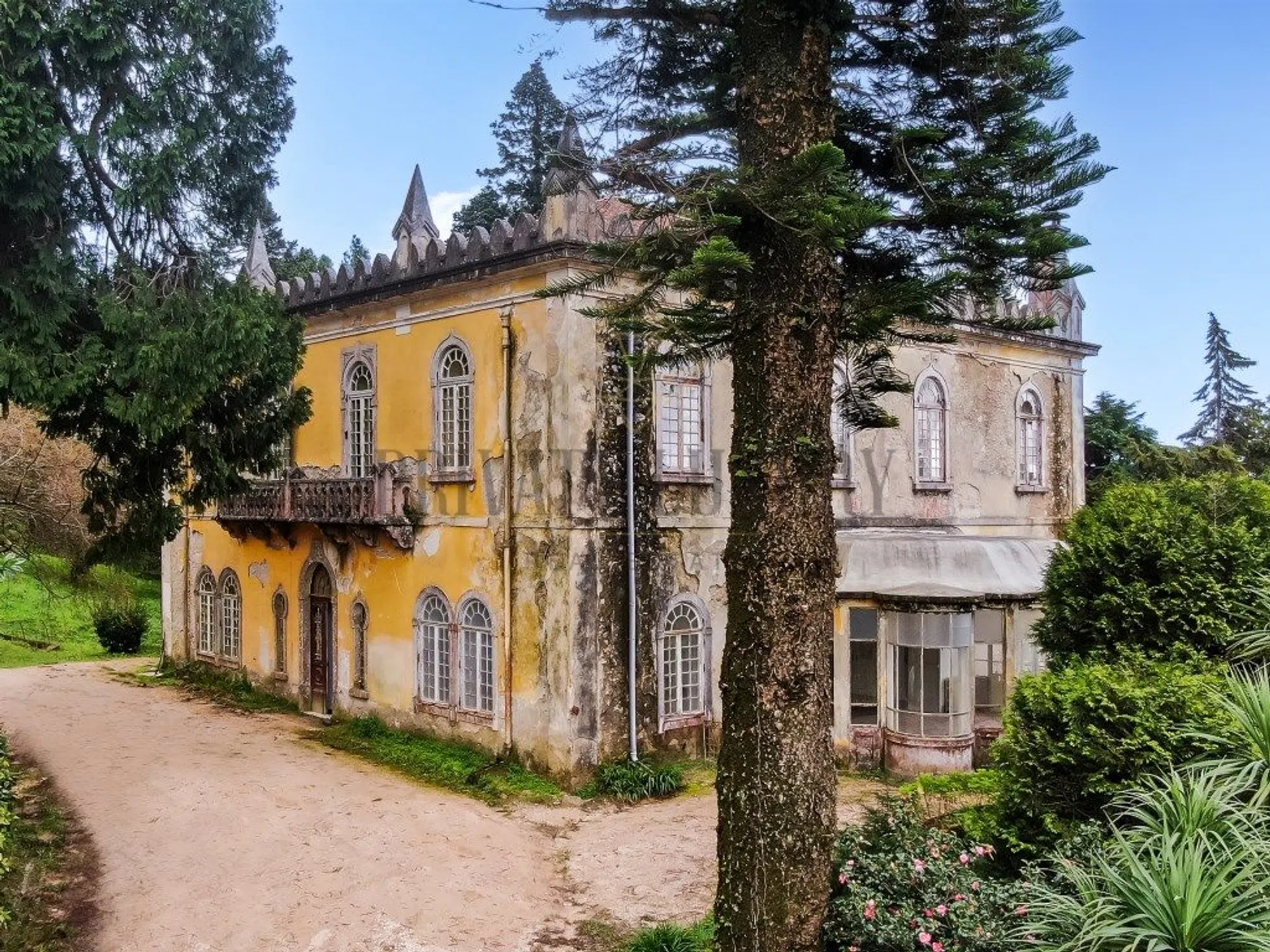 Quinta - Photo 7