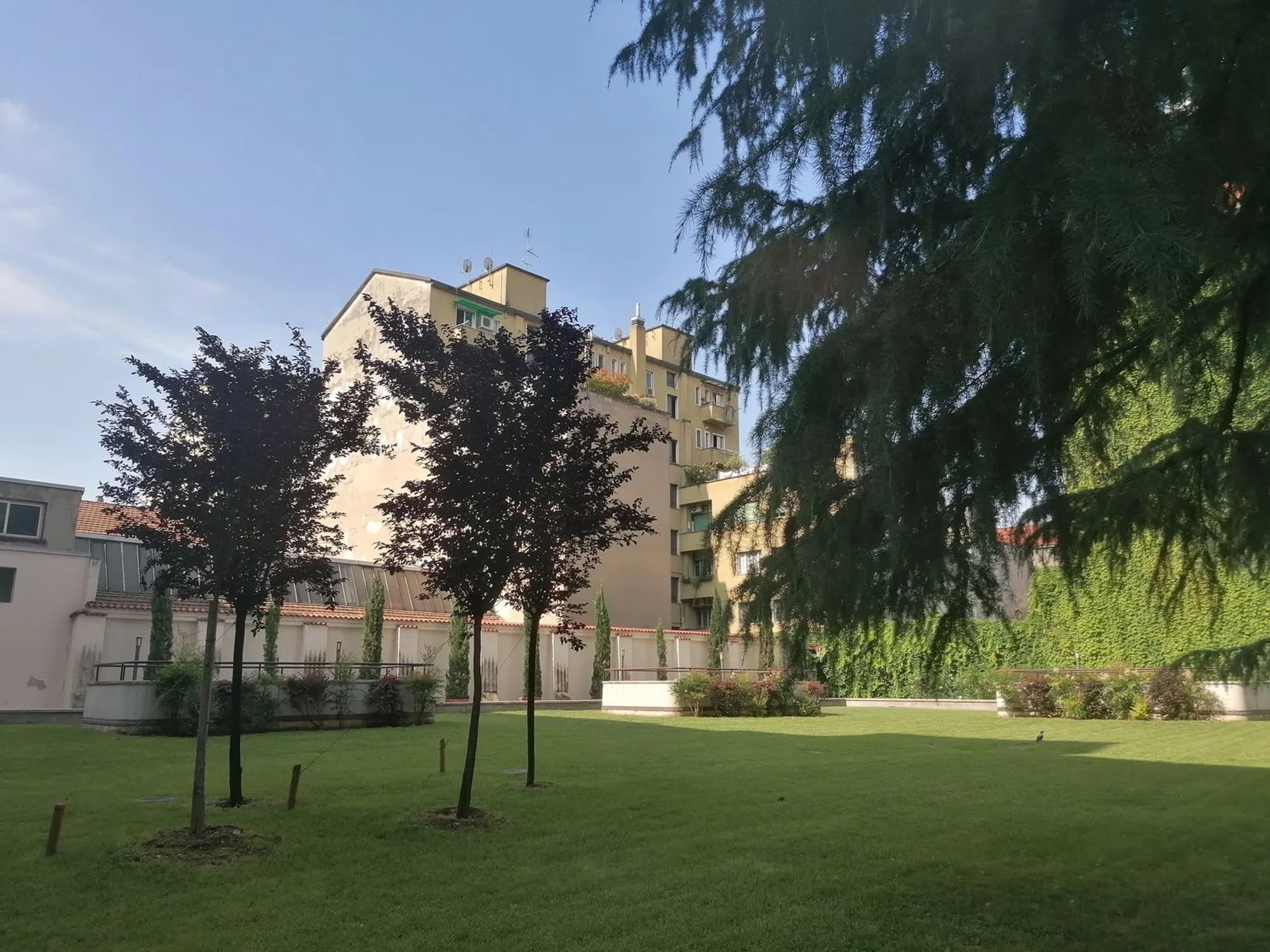 Trilocale in viale Gran Sasso - Photo 2