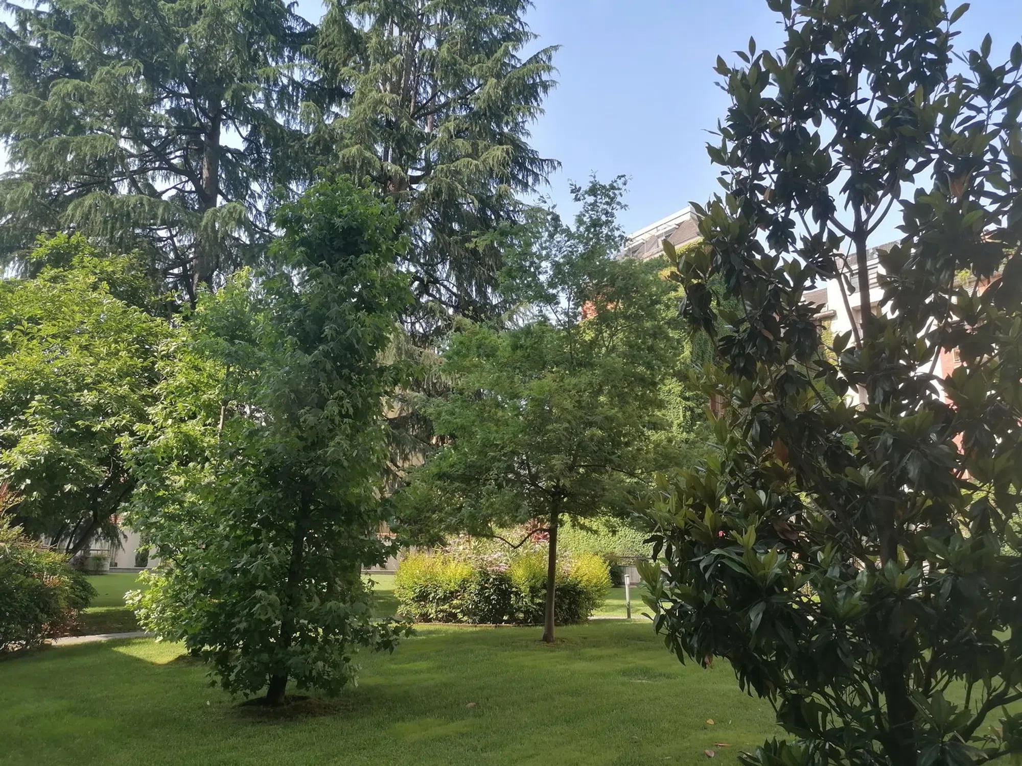 Trilocale in viale Gran Sasso - Photo 11
