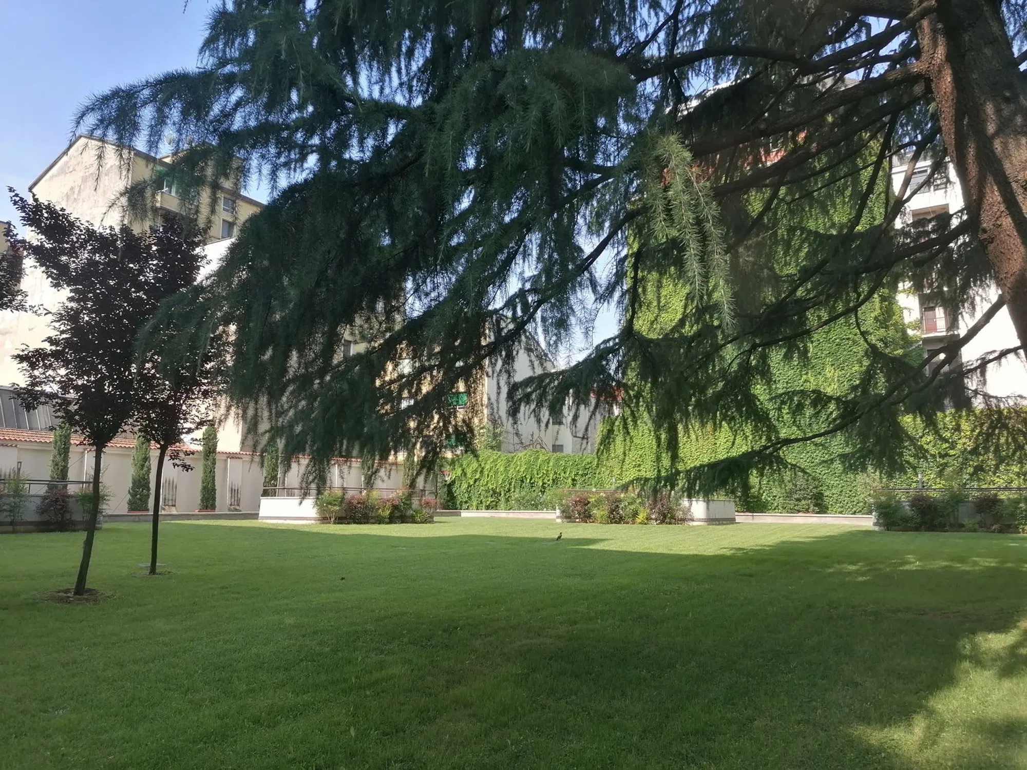 Trilocale in viale Gran Sasso - Photo 5