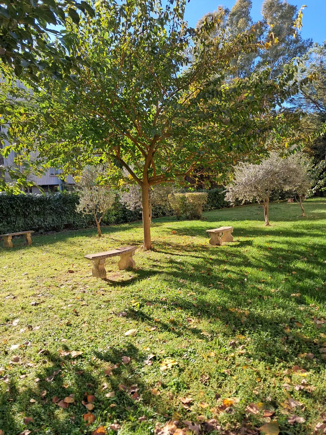 Quadrilocale in via Ramiro Fabiani s.n.c. - Photo 2