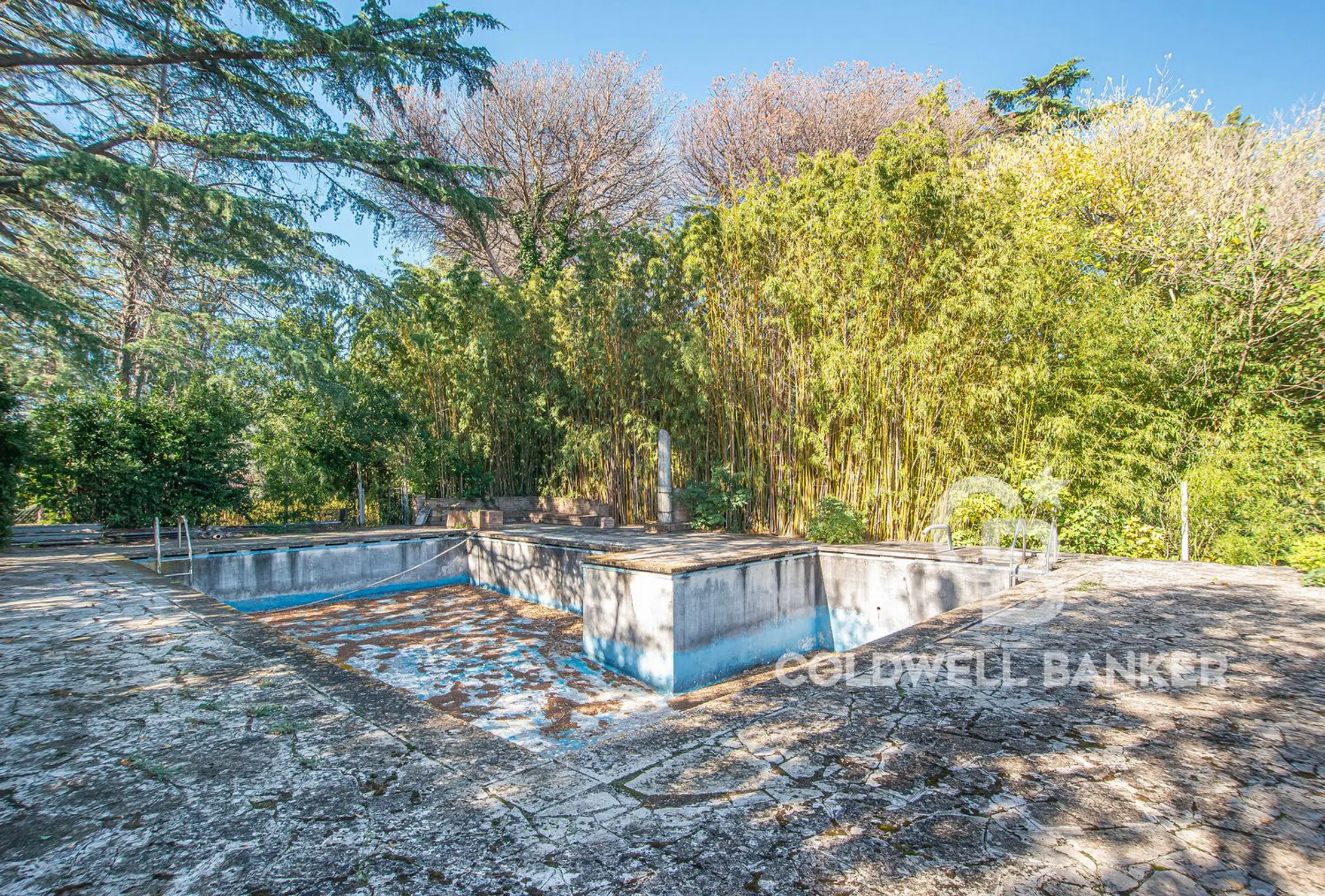 Villa in via di Tor Carbone, 65 - Photo 10