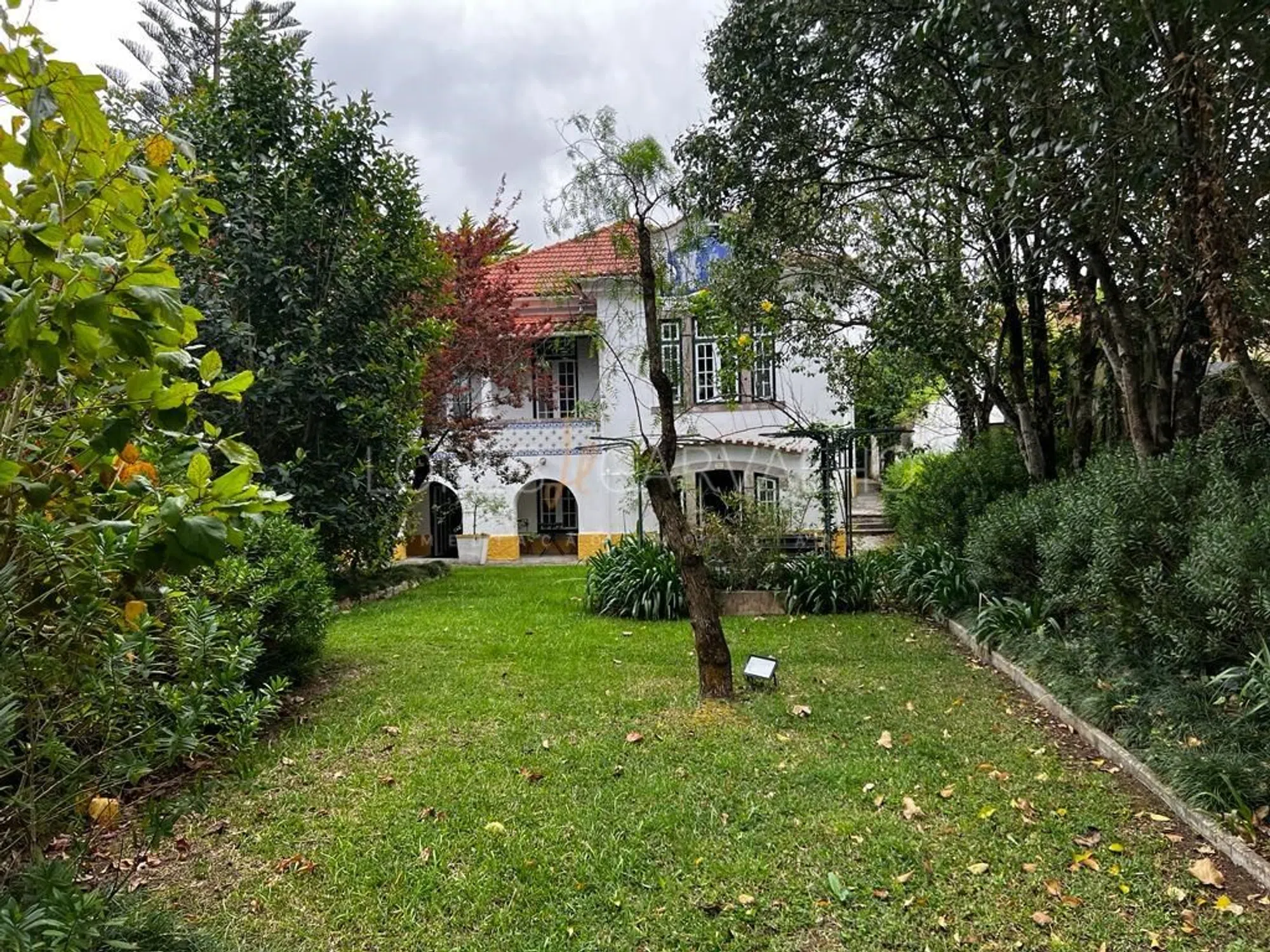 Quinta - Photo 12