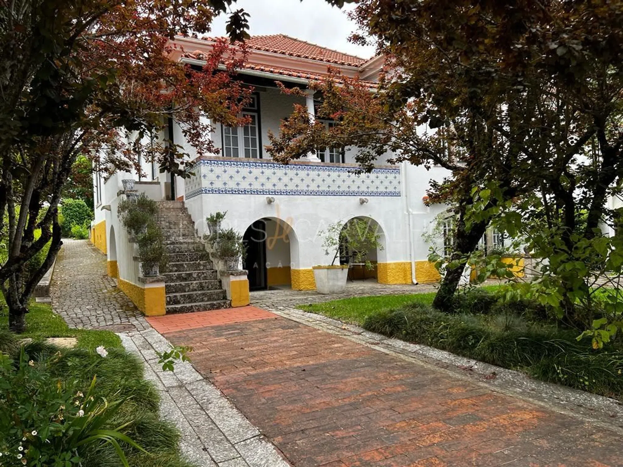 Quinta - Photo 14