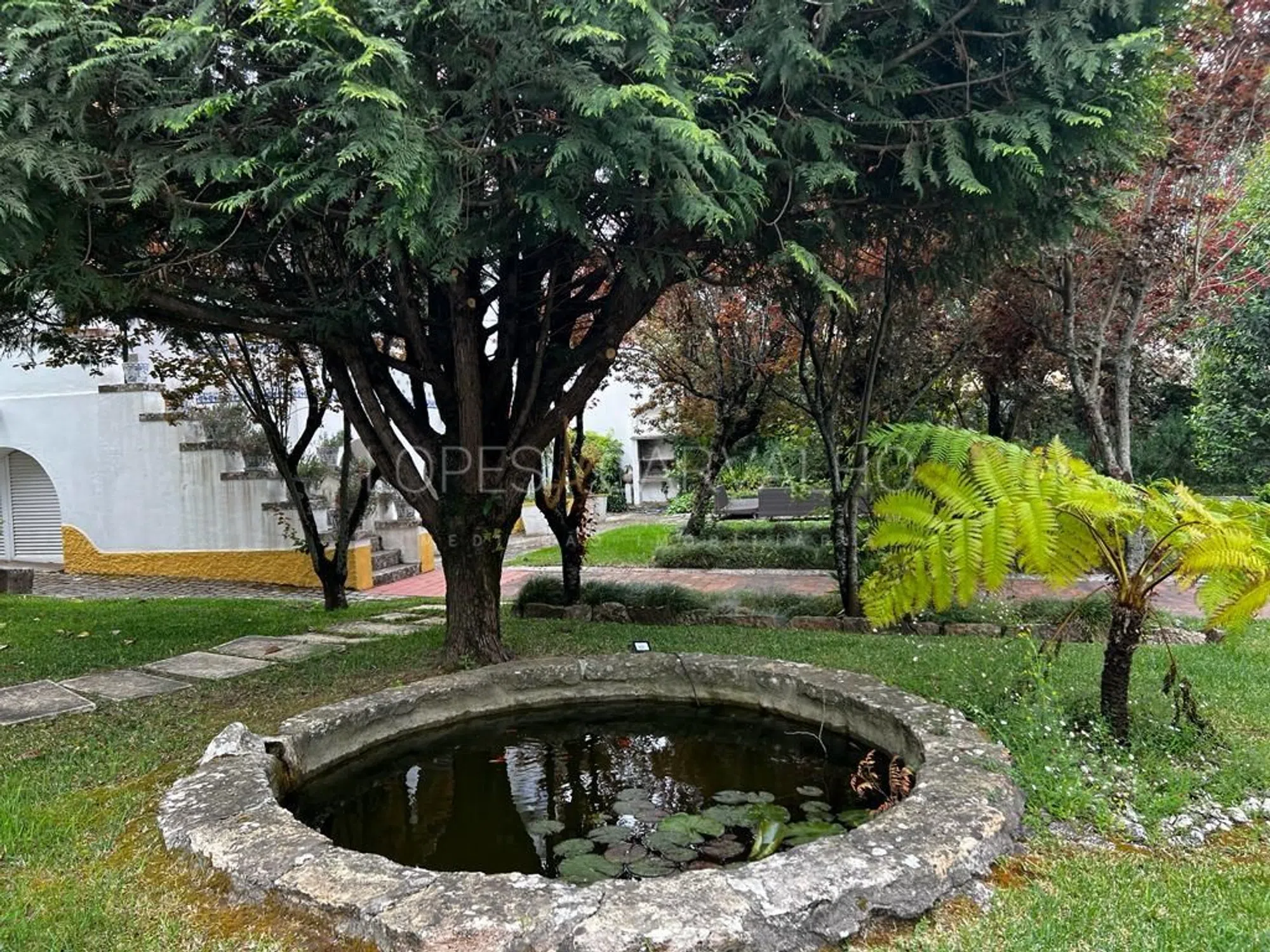 Quinta - Photo 18