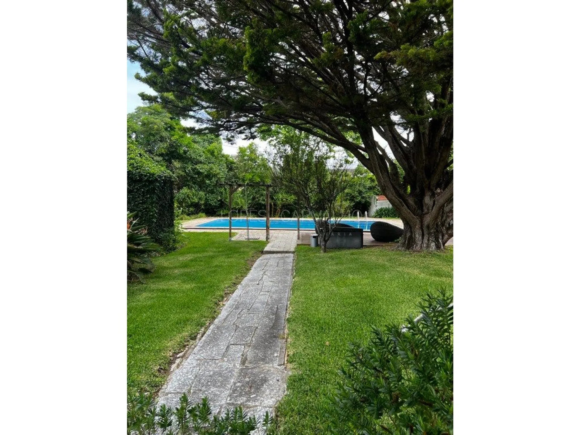 Quinta - Photo 19