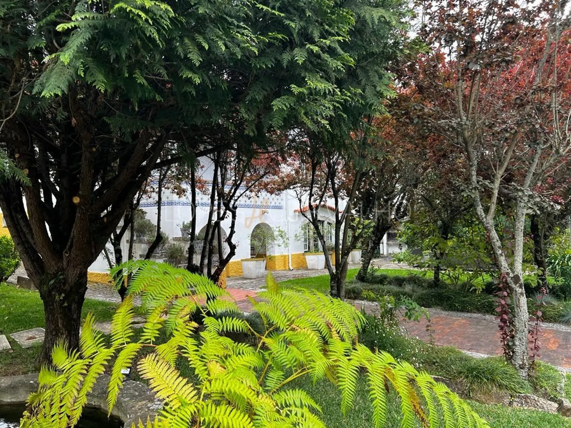 Quinta - Photo 8