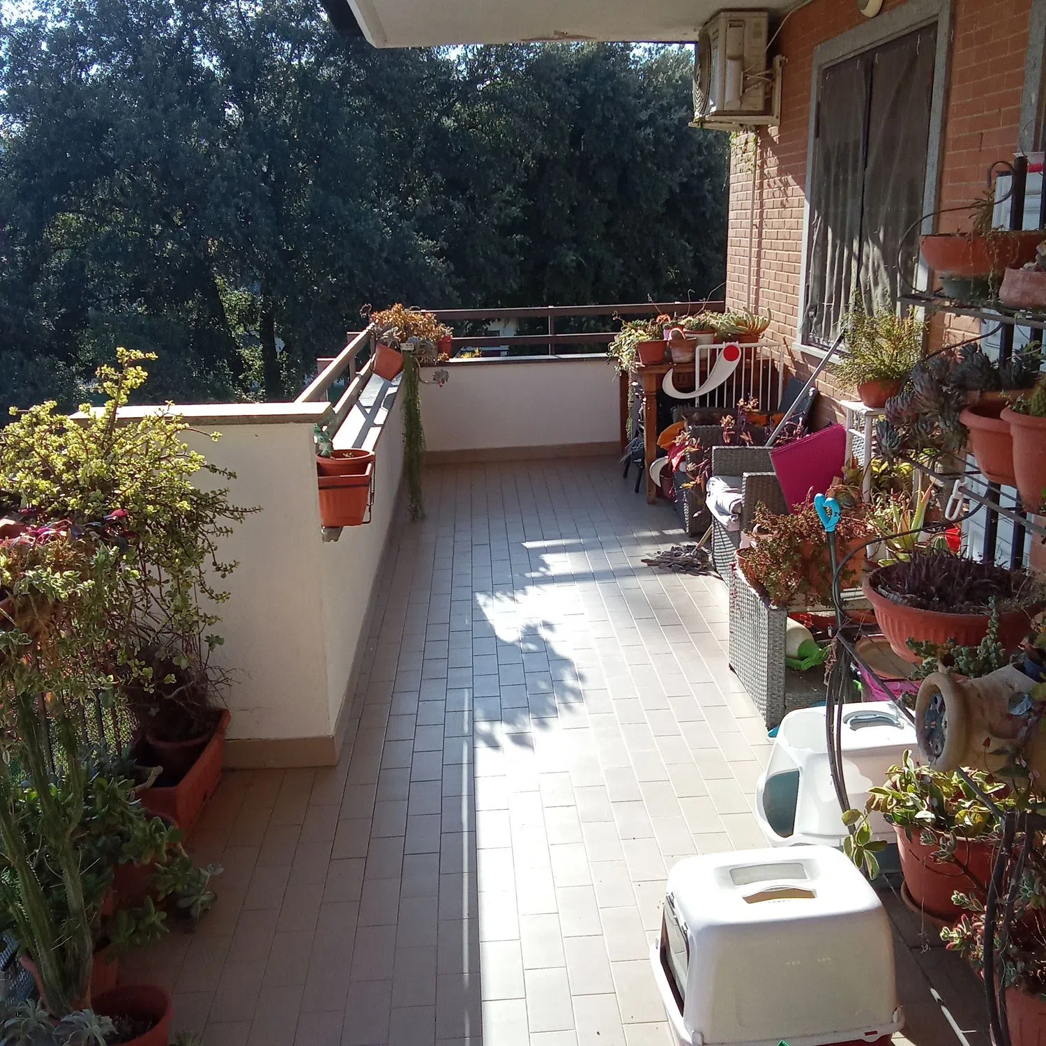 Attico in Casal dei pazzi s.n.c. - Photo 2