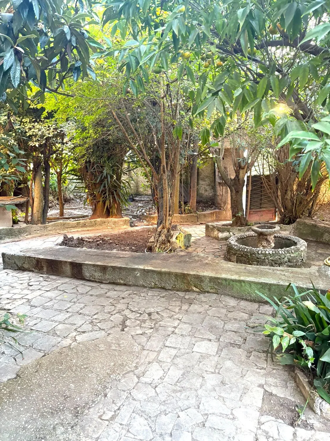 Villa in via Giovanni Fattori s.n.c. - Photo 20