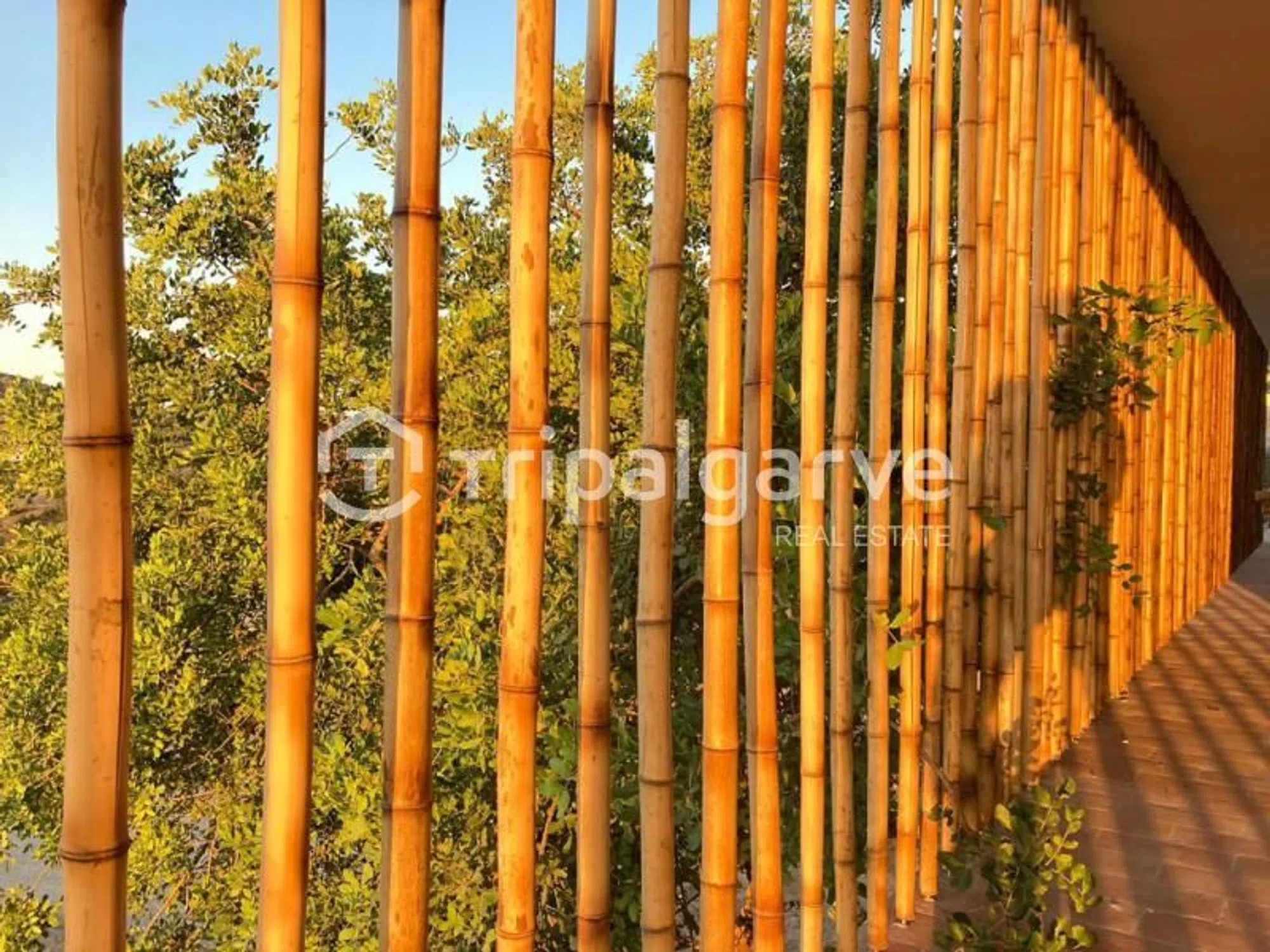 Moradia independente - Photo 17