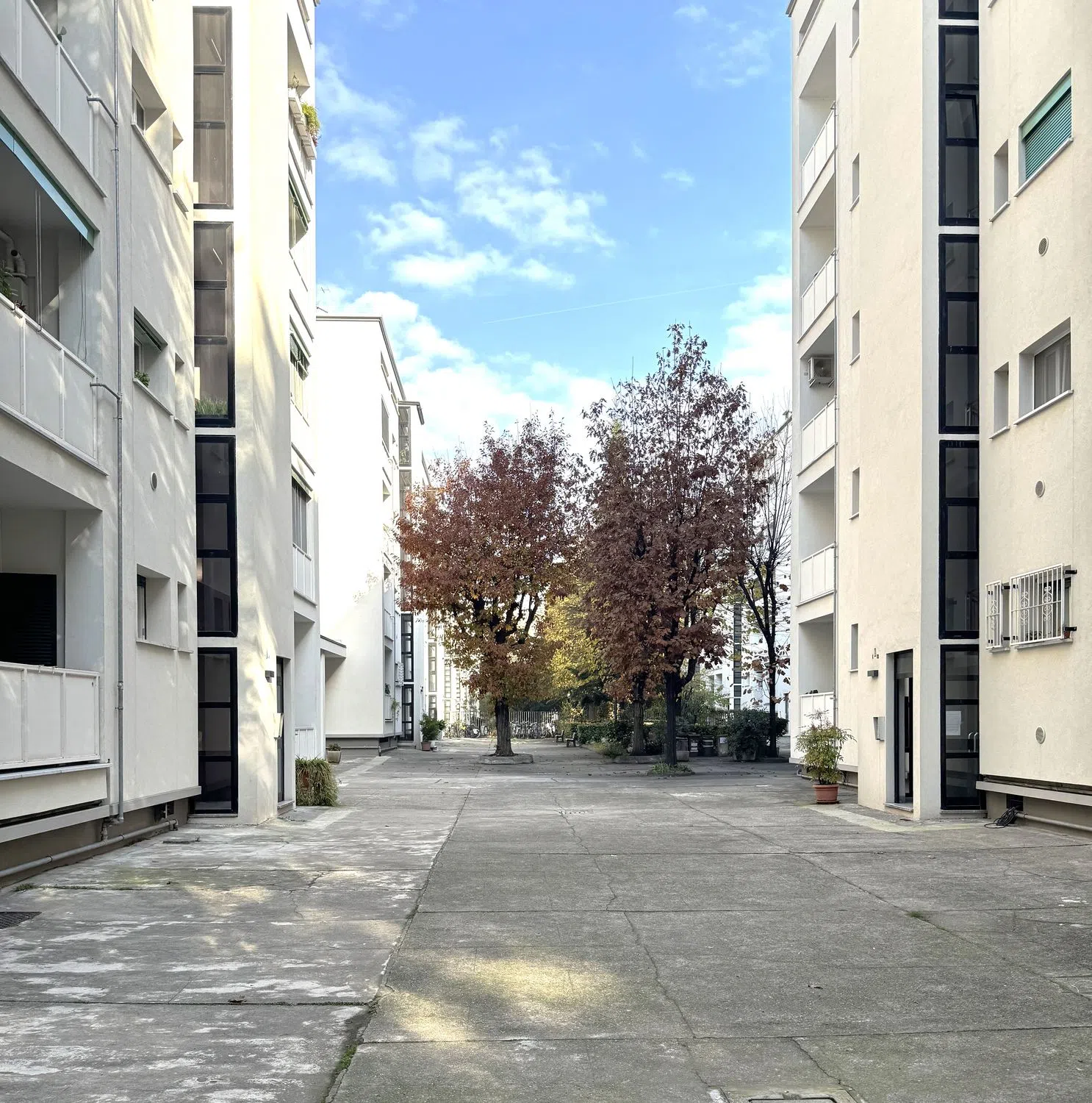 Trilocale in via Dalmazio Birago, 2 - Photo 3