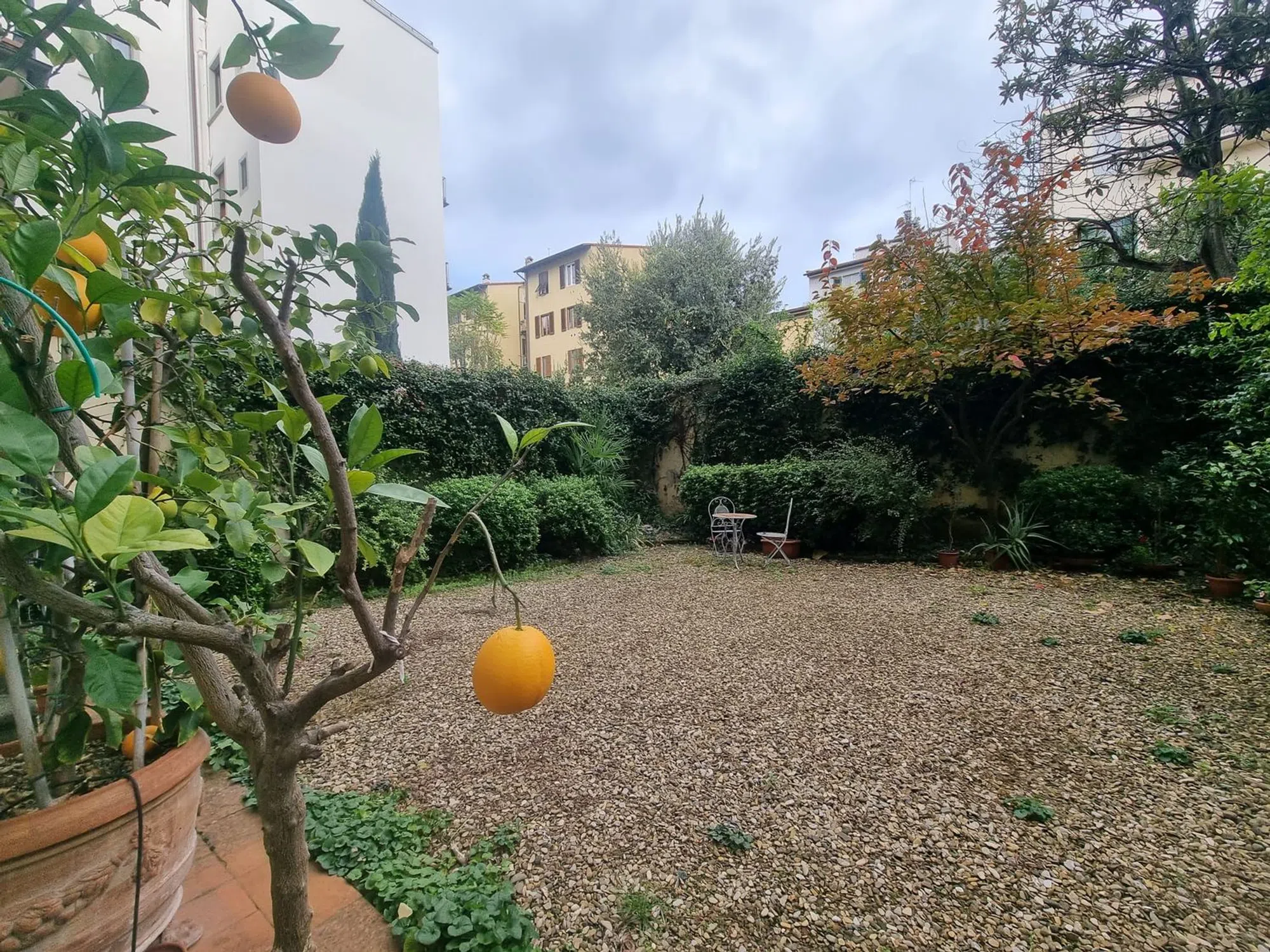 Trilocale in viale Giacomo Matteotti s.n.c. - Photo 9