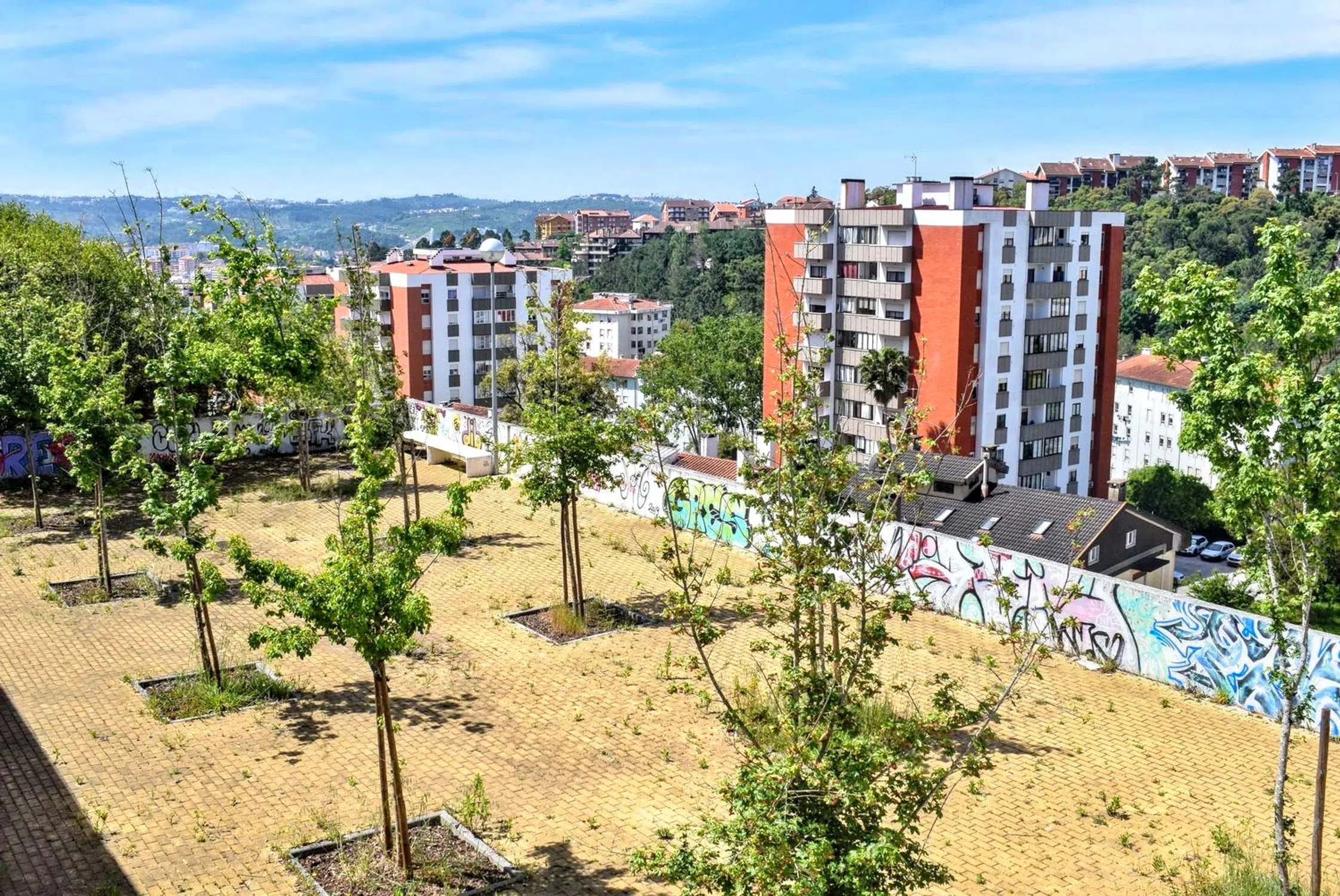 Apartamento - Photo 9