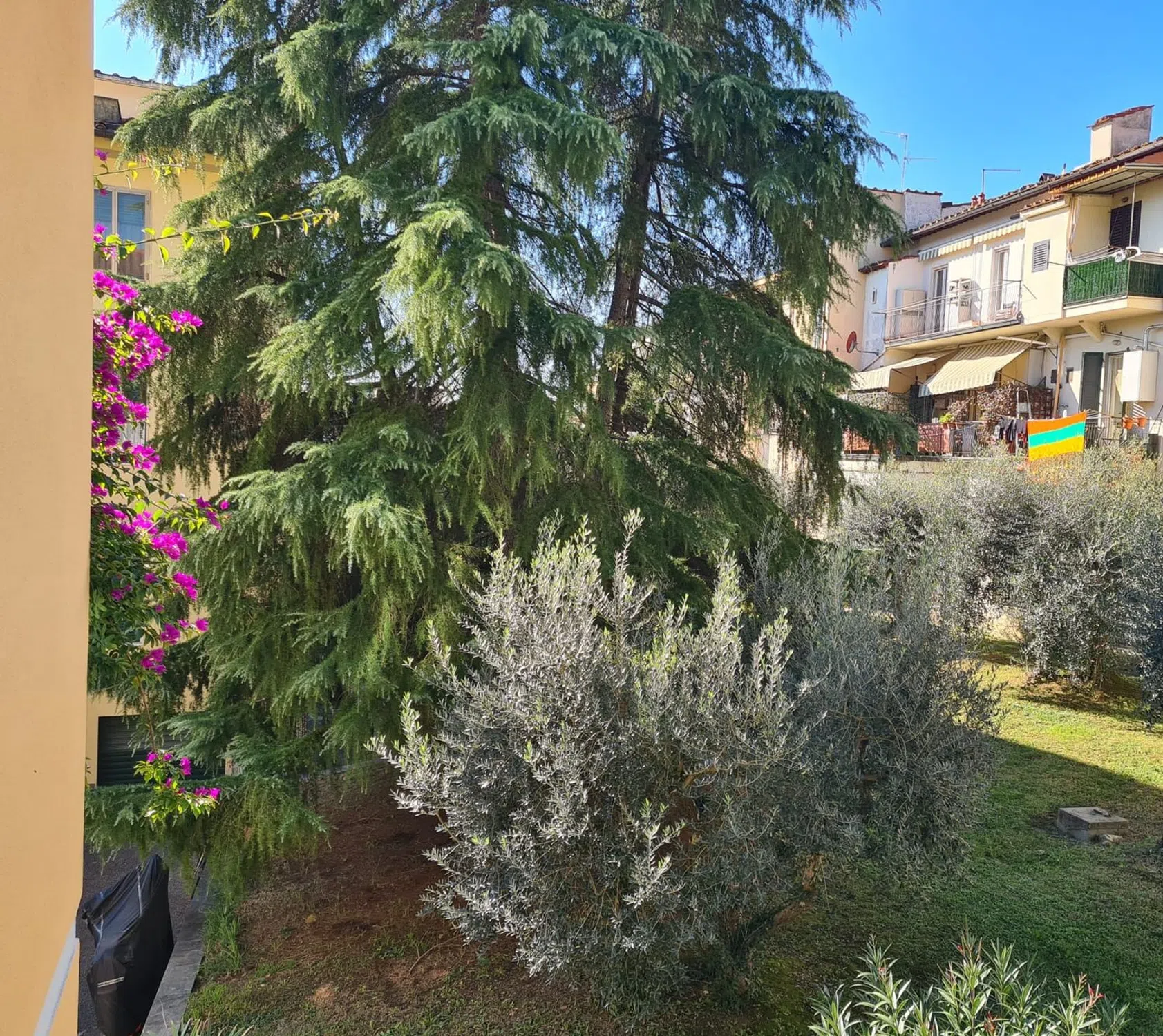 Trilocale in via di Lapo s.n.c. - Photo 18