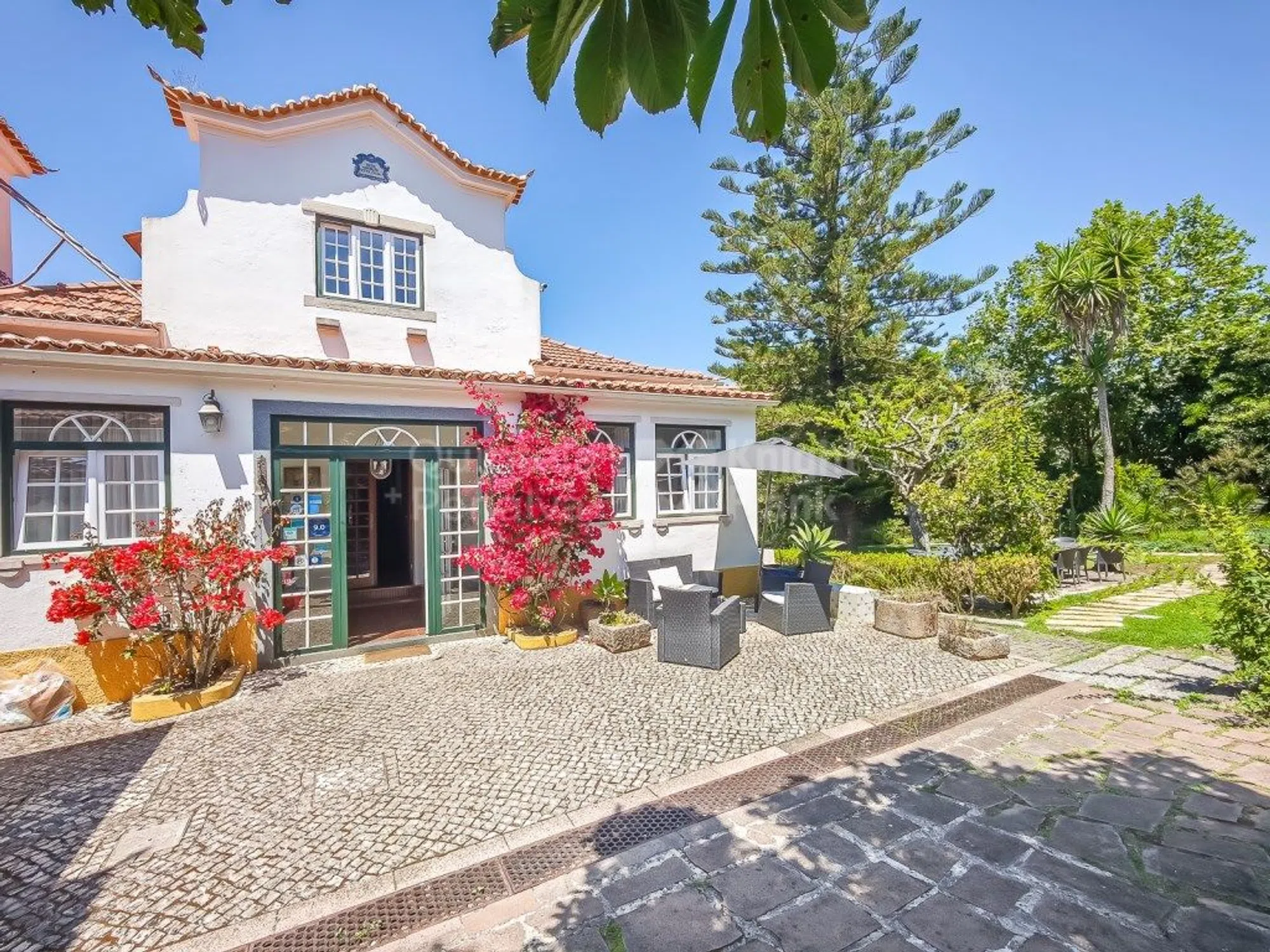 Quinta - Photo 1