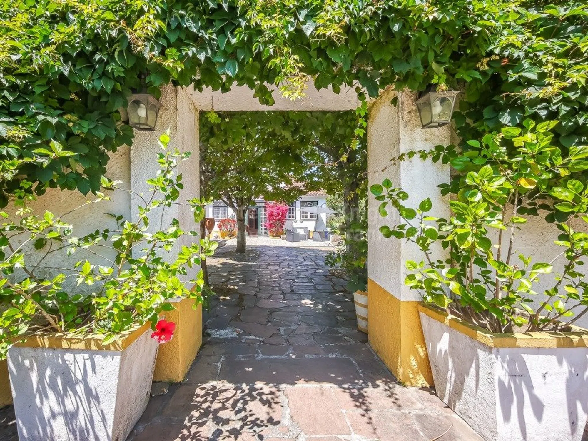 Quinta - Photo 3