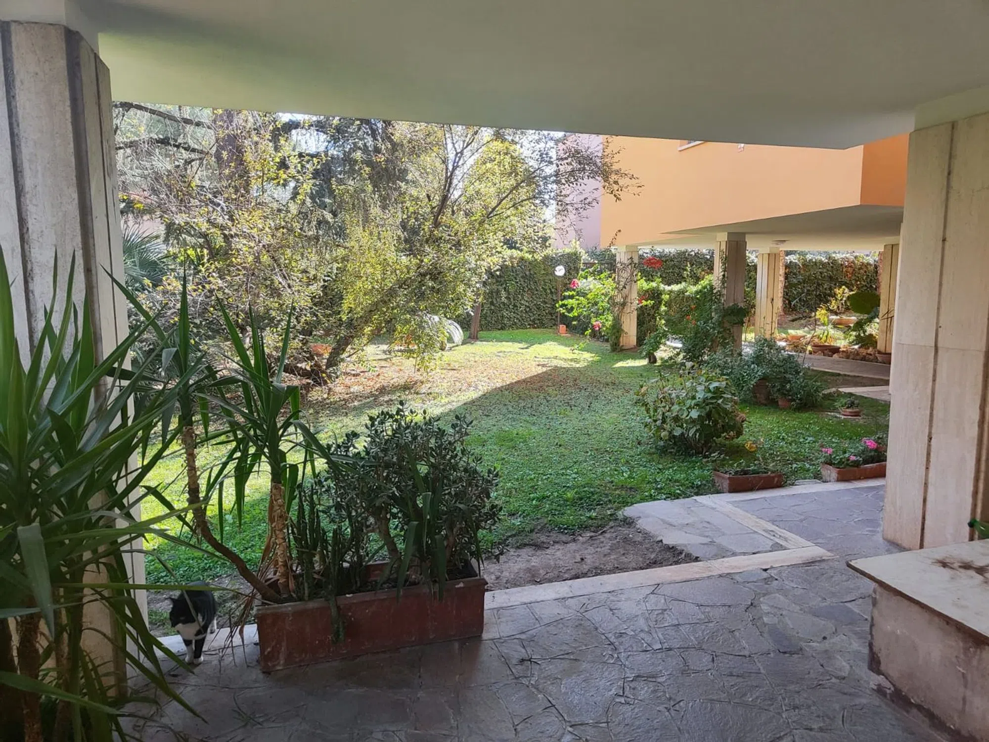 Appartamento in via Torraccia di Aguzzano - Photo 13