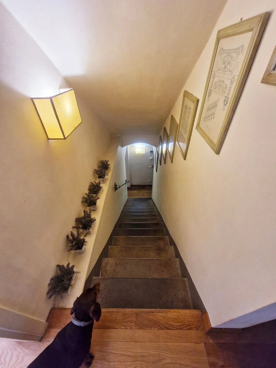 Appartamento su due piani in via Goffredo Mameli - Photo 12
