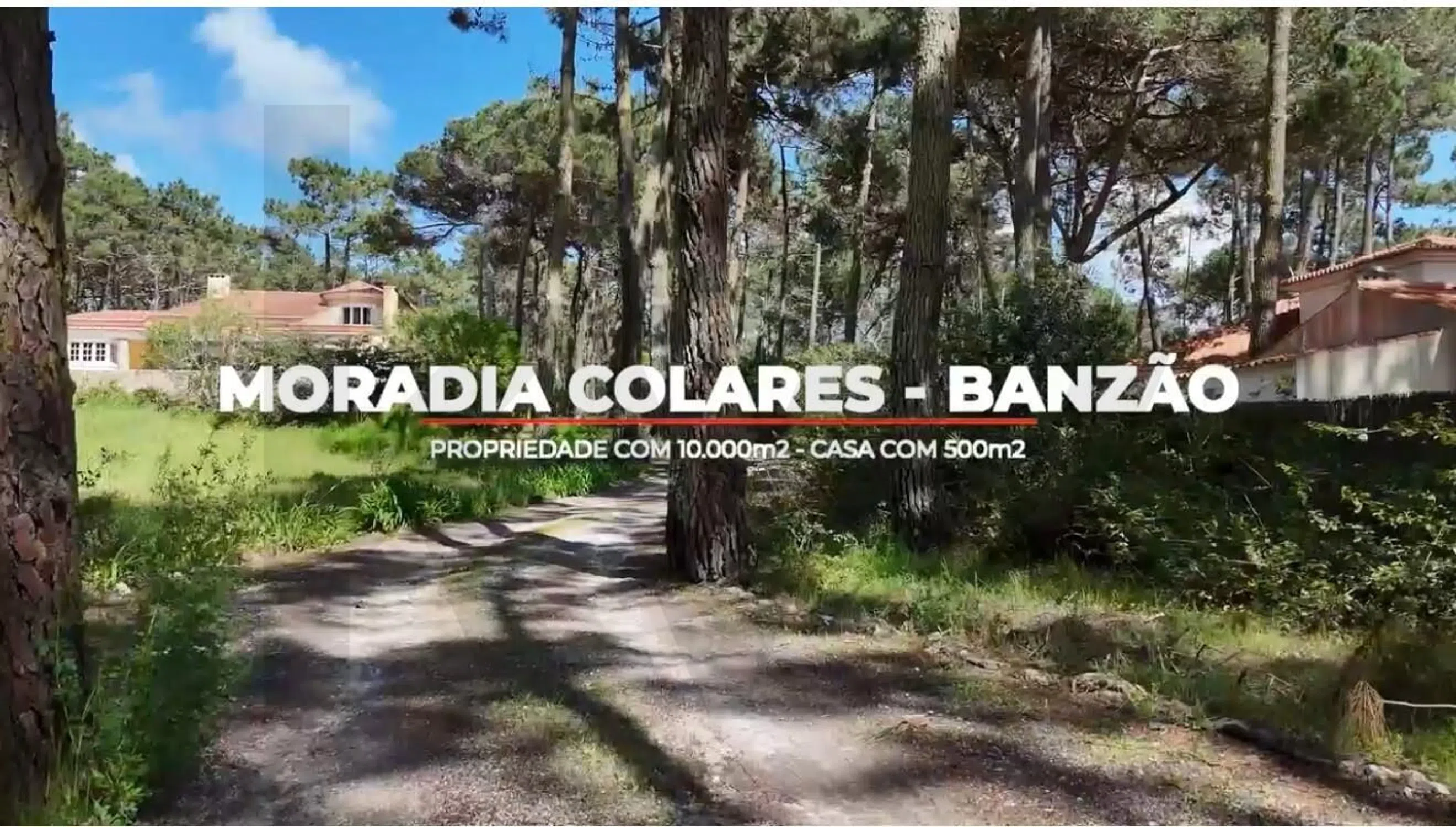 Moradia - Photo 2