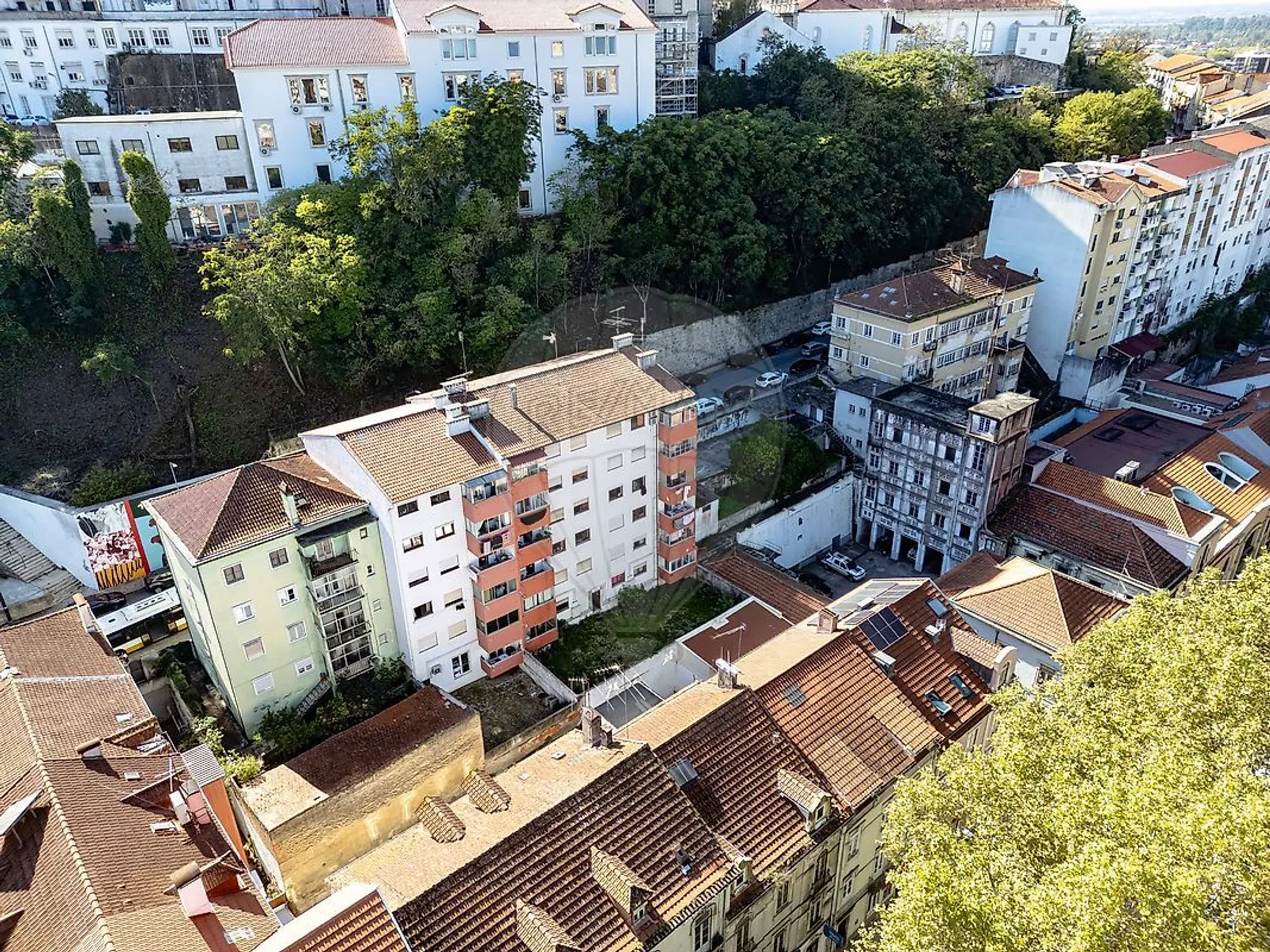 Apartamento - Photo 19