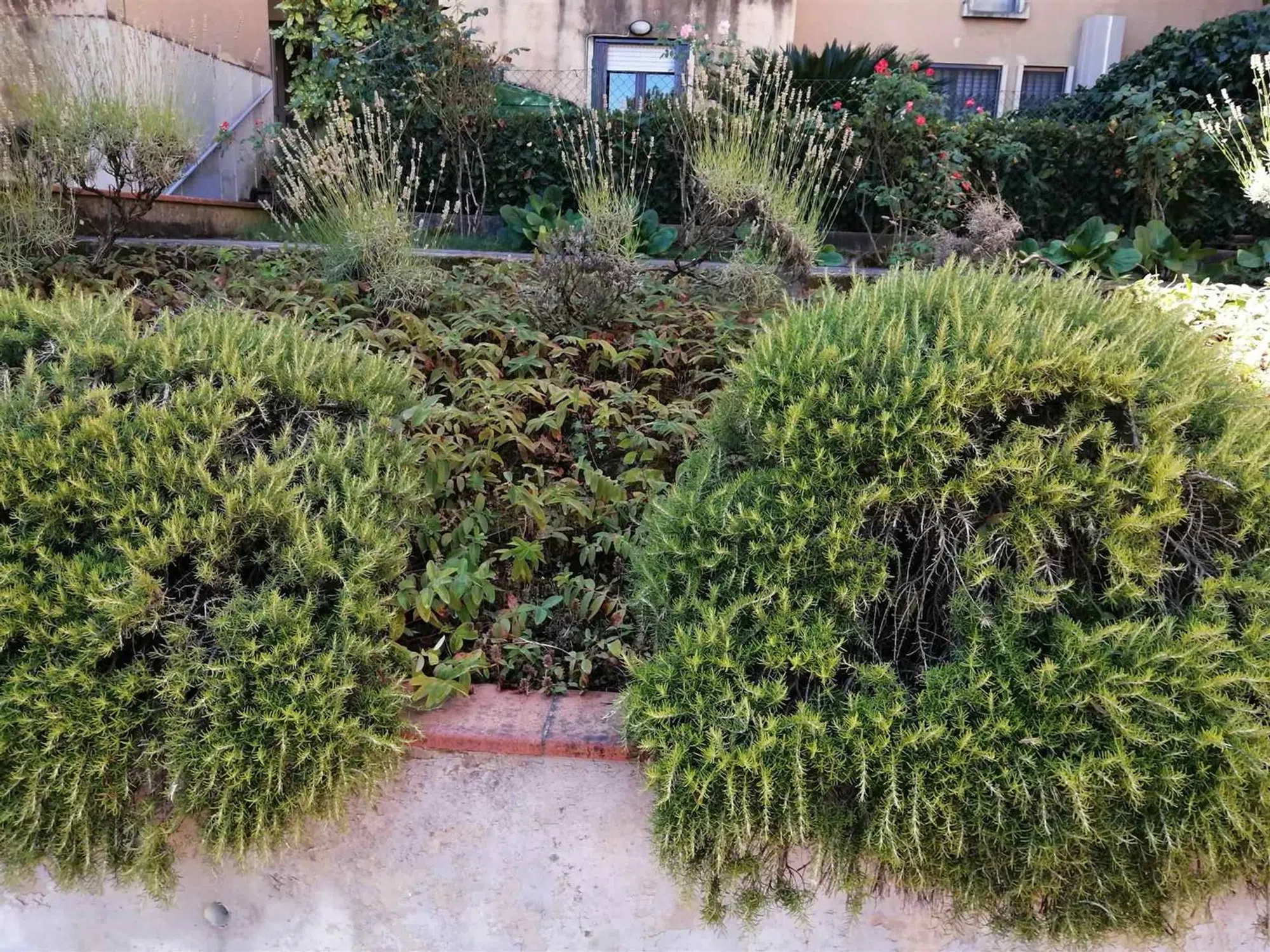 Quadrilocale in via Senese, 57 - Photo 14