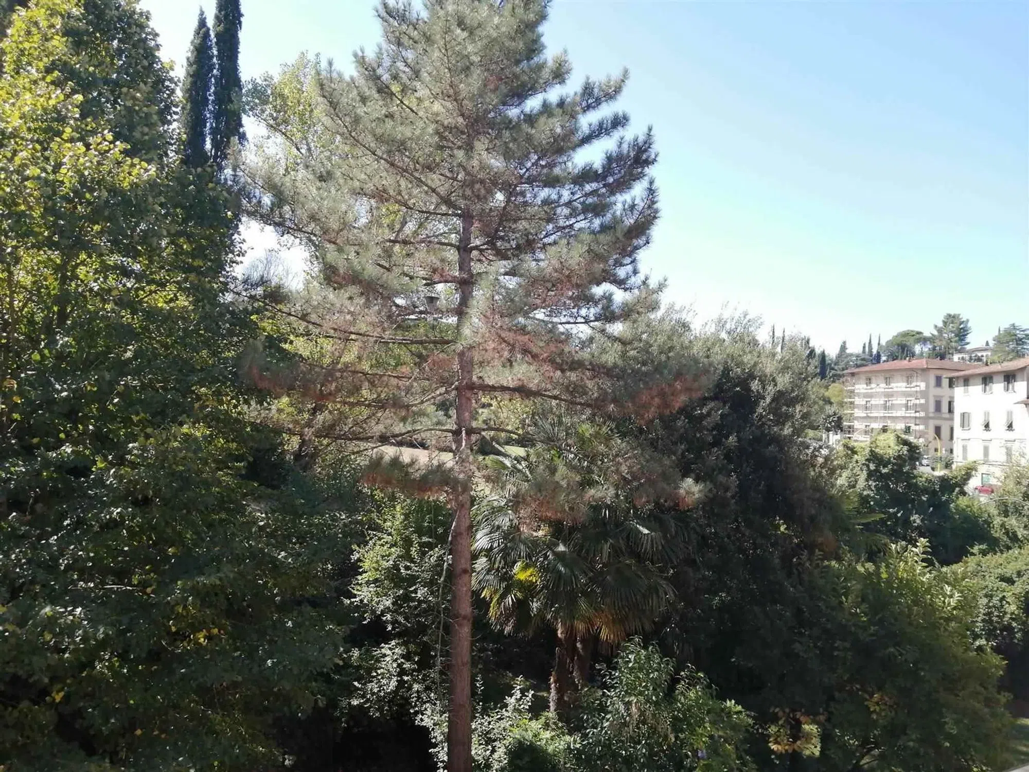 Quadrilocale in via Senese, 57 - Photo 15