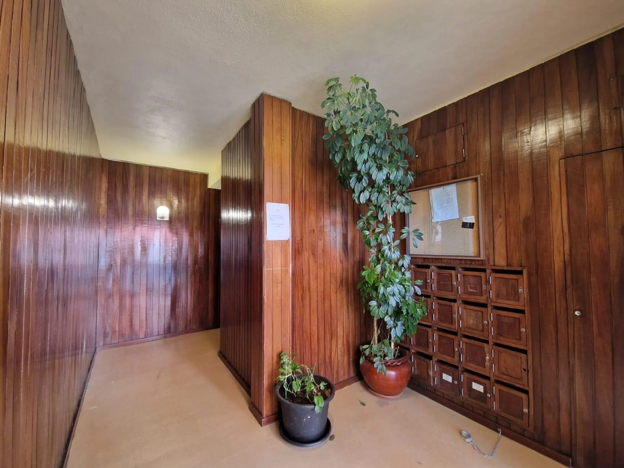Apartamento na rua António Jardim - Photo 2