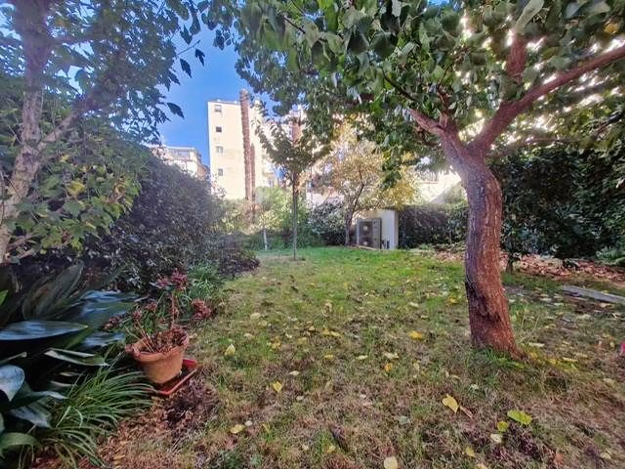 Appartamento in Quartiere Campo di Marte - Stadio - Photo 2