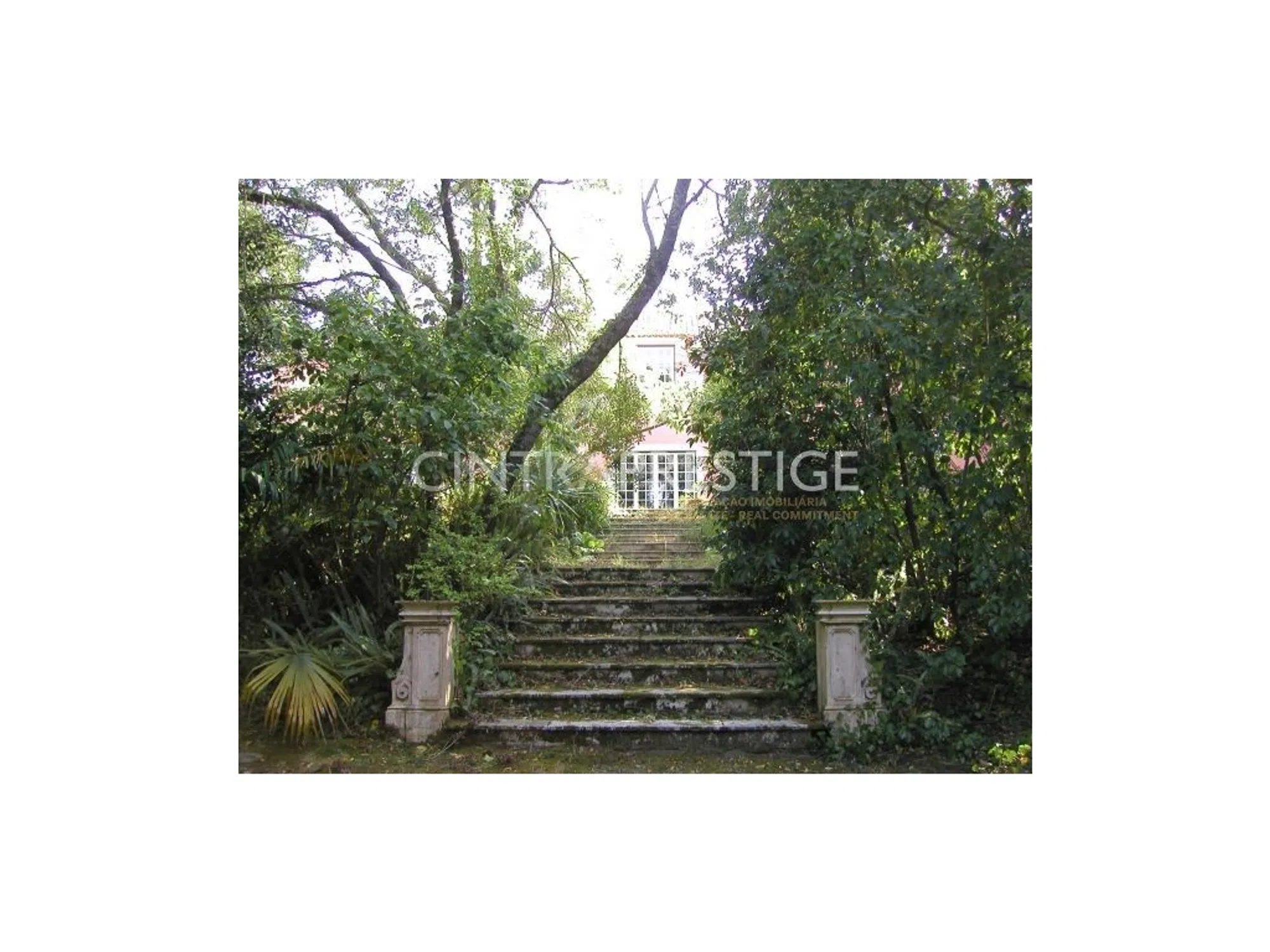 Quinta - Photo 11