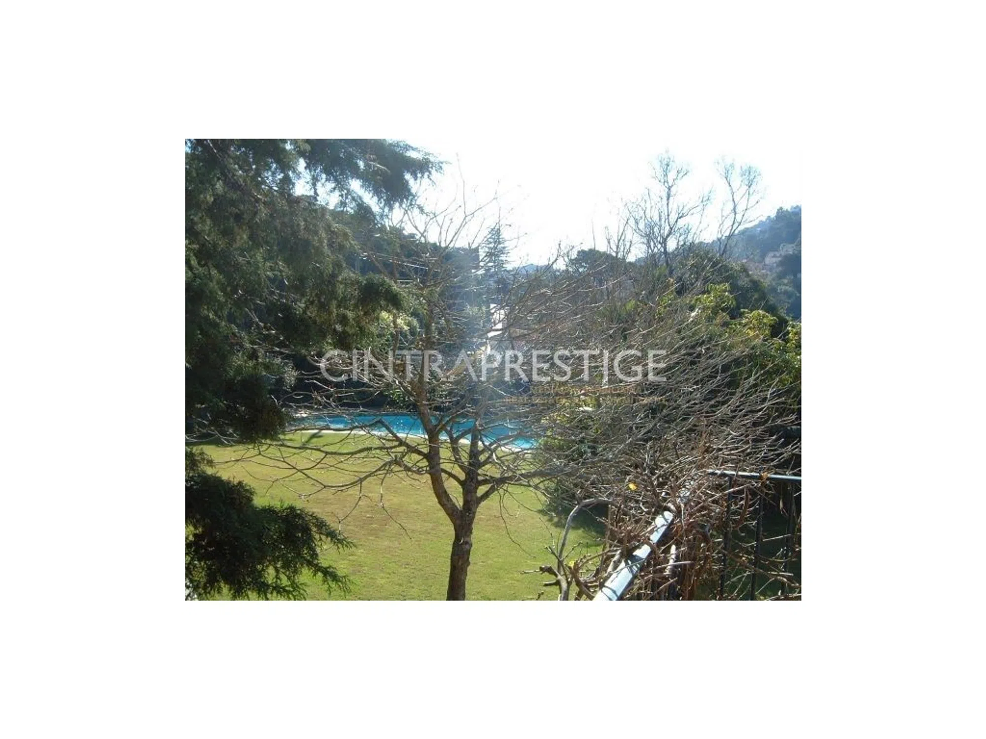 Quinta - Photo 13