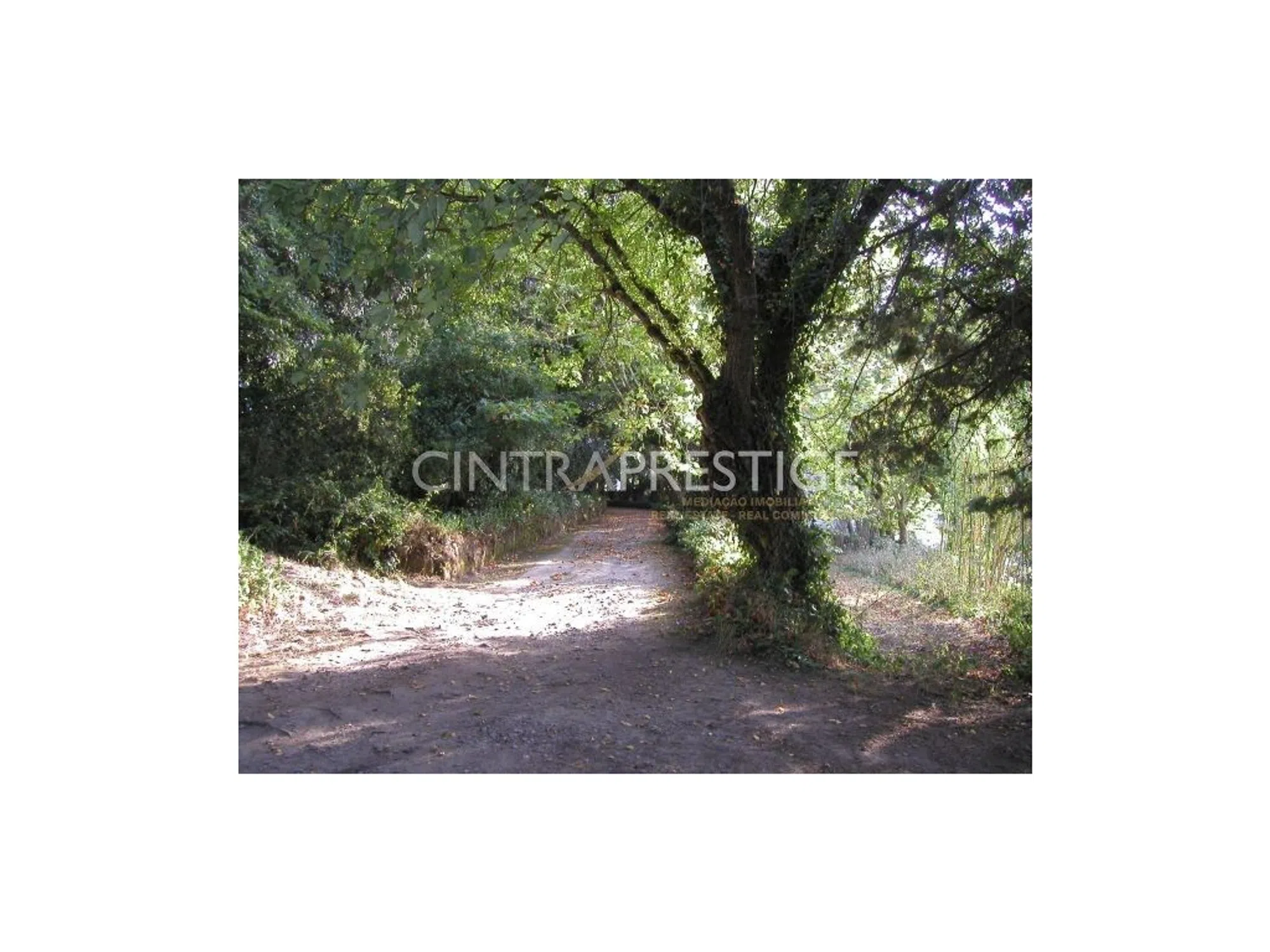 Quinta - Photo 14