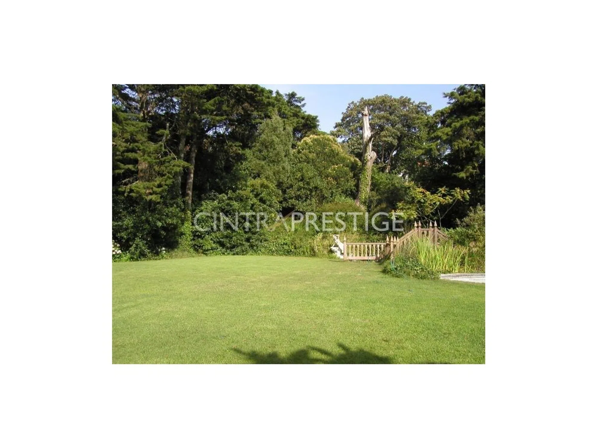 Quinta - Photo 16