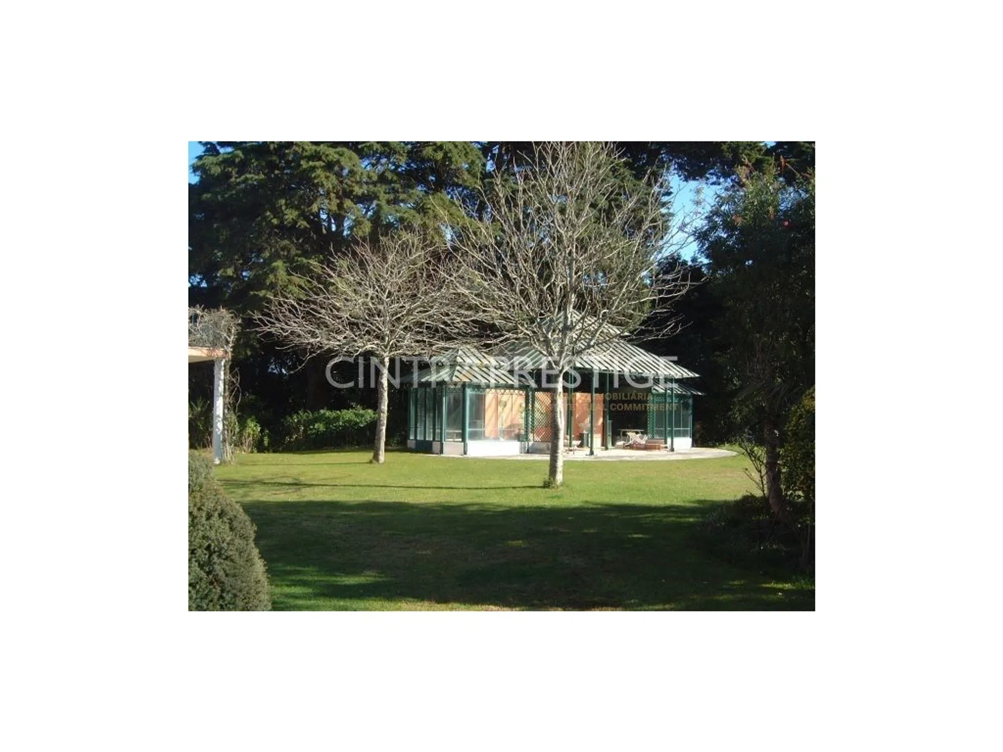 Quinta - Photo 19