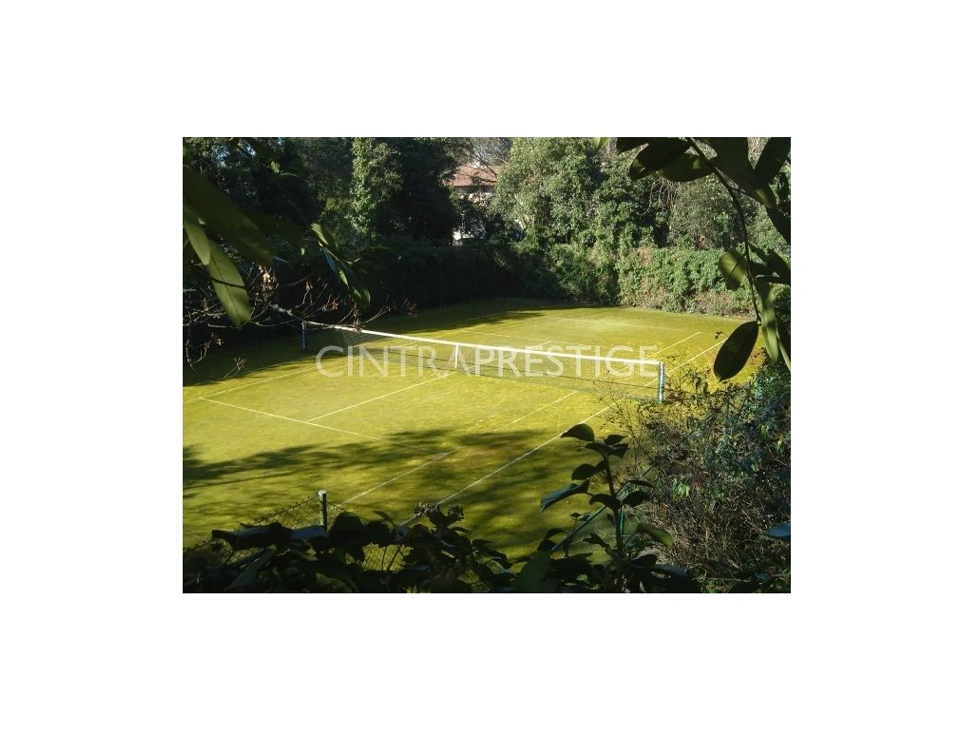 Quinta - Photo 20