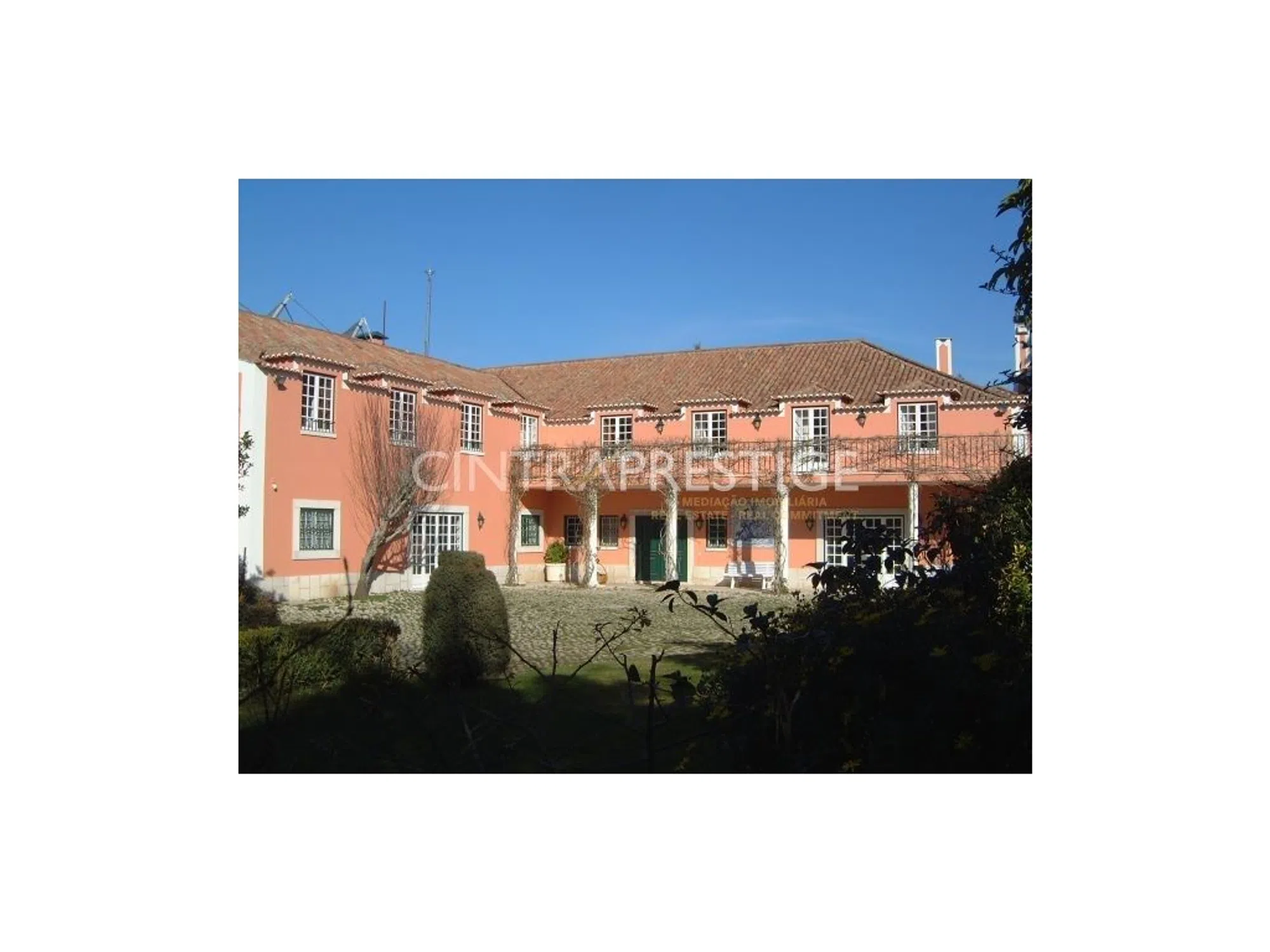 Quinta - Photo 3