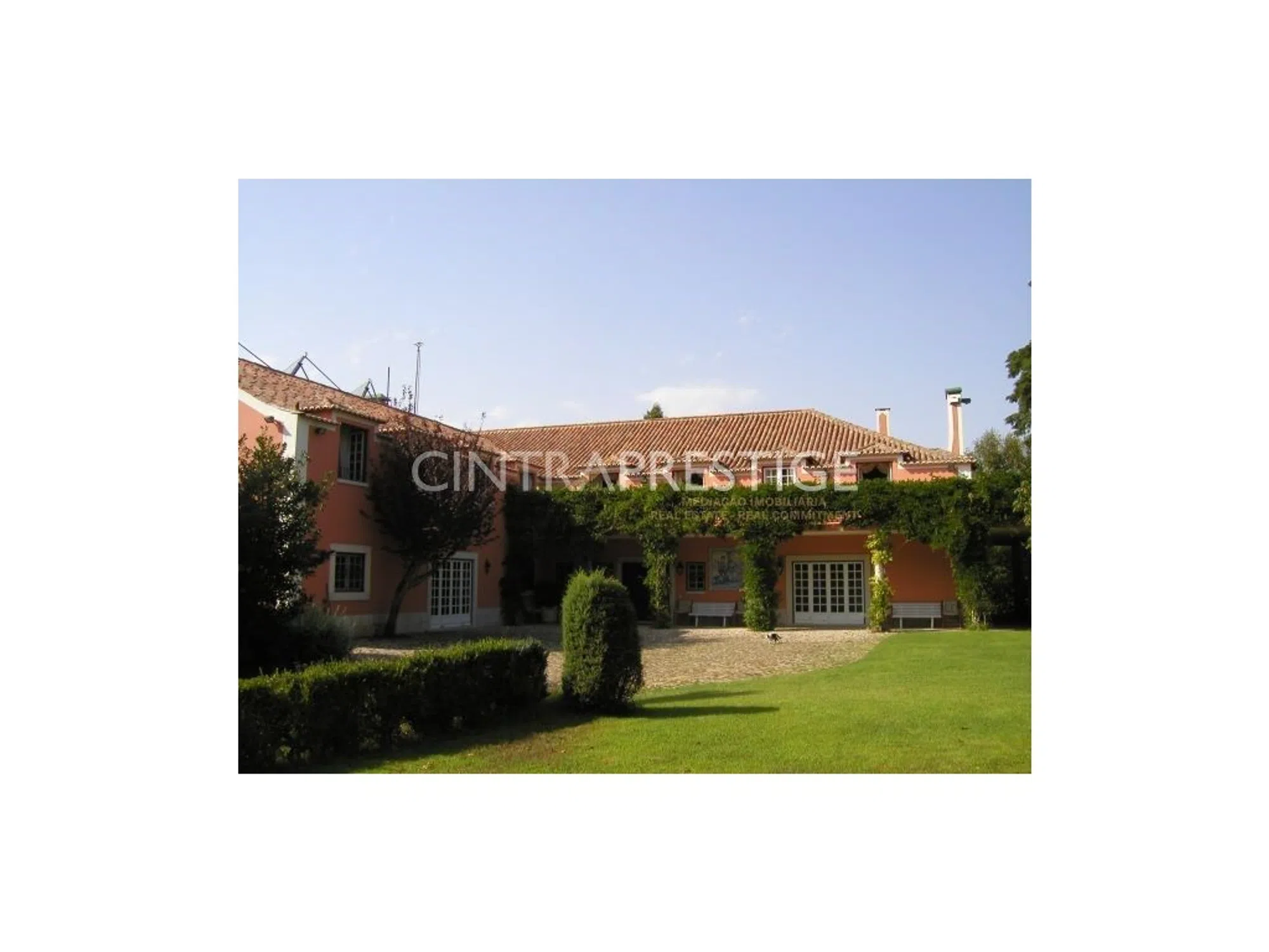 Quinta - Photo 5
