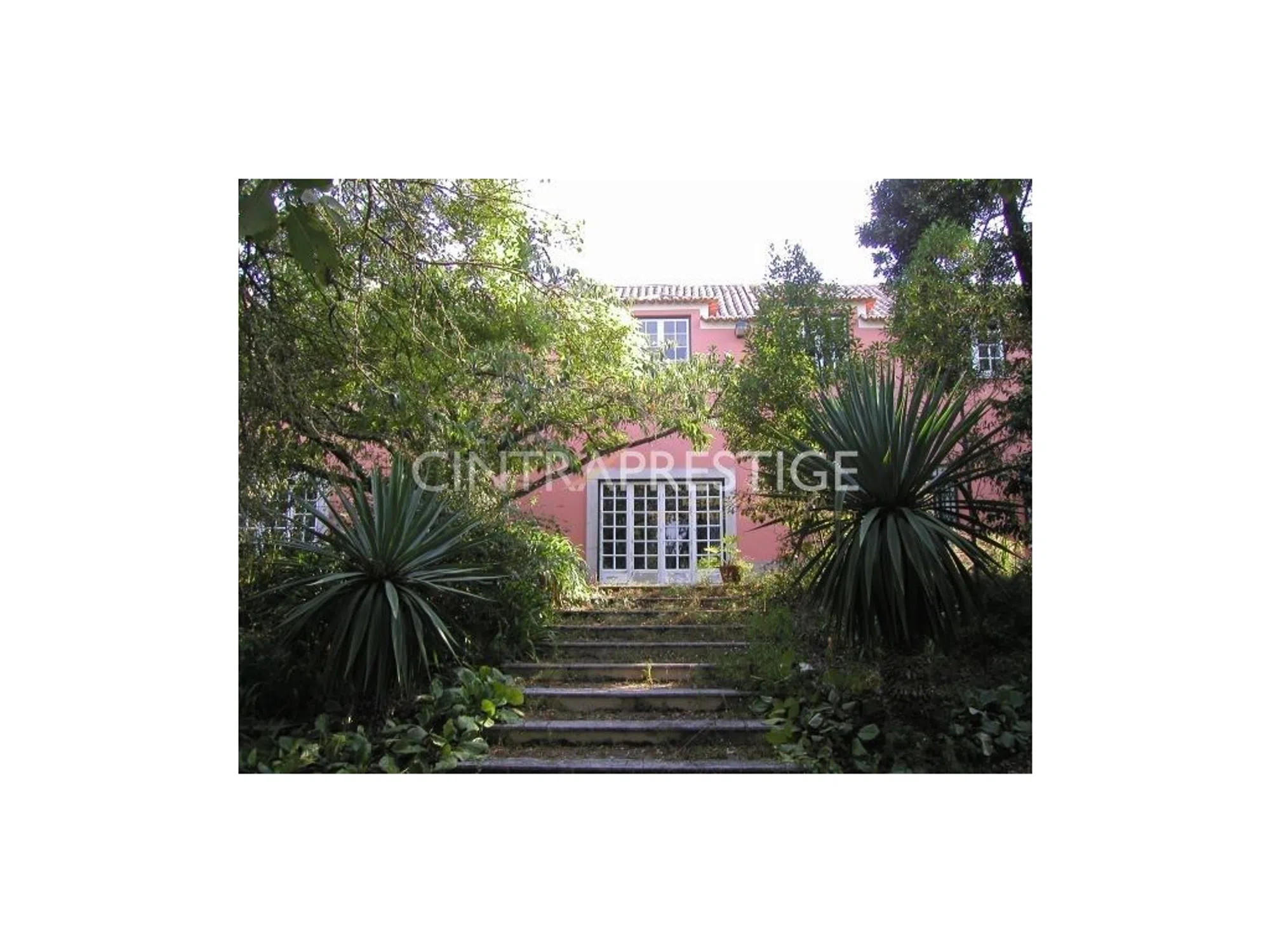 Quinta - Photo 6