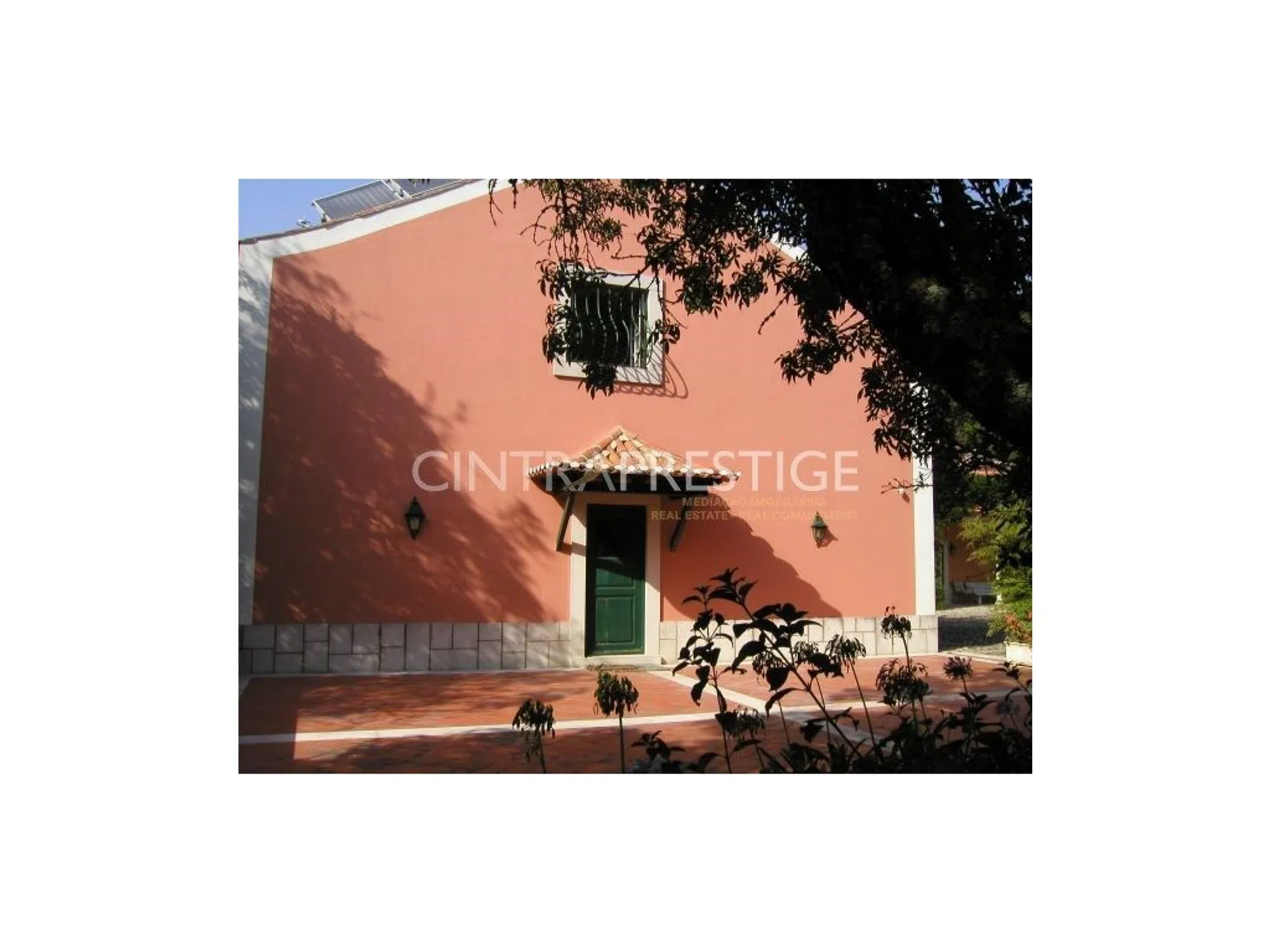 Quinta - Photo 8
